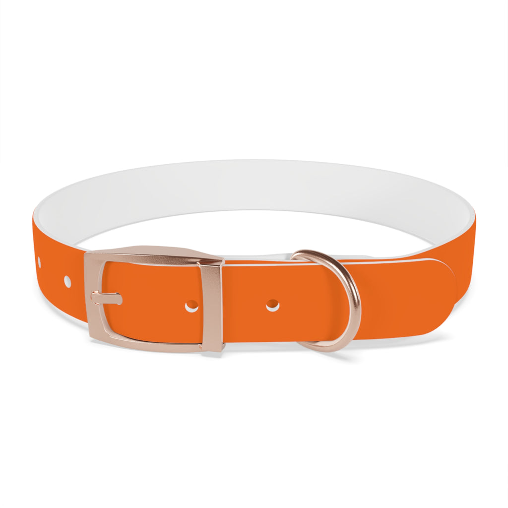 Adjustable Dog Collar | Paw Print | Orange
