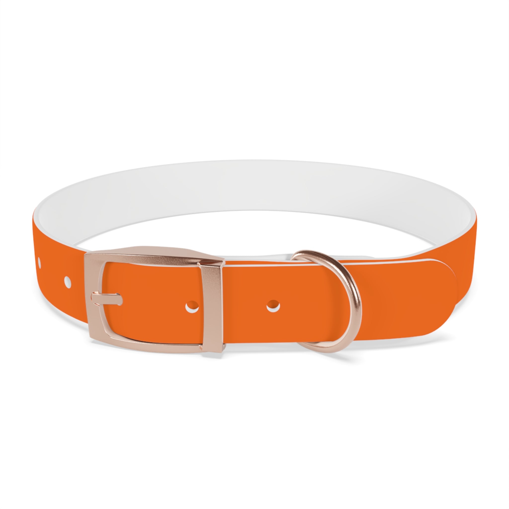 Adjustable Dog Collar | Paw Print | Orange