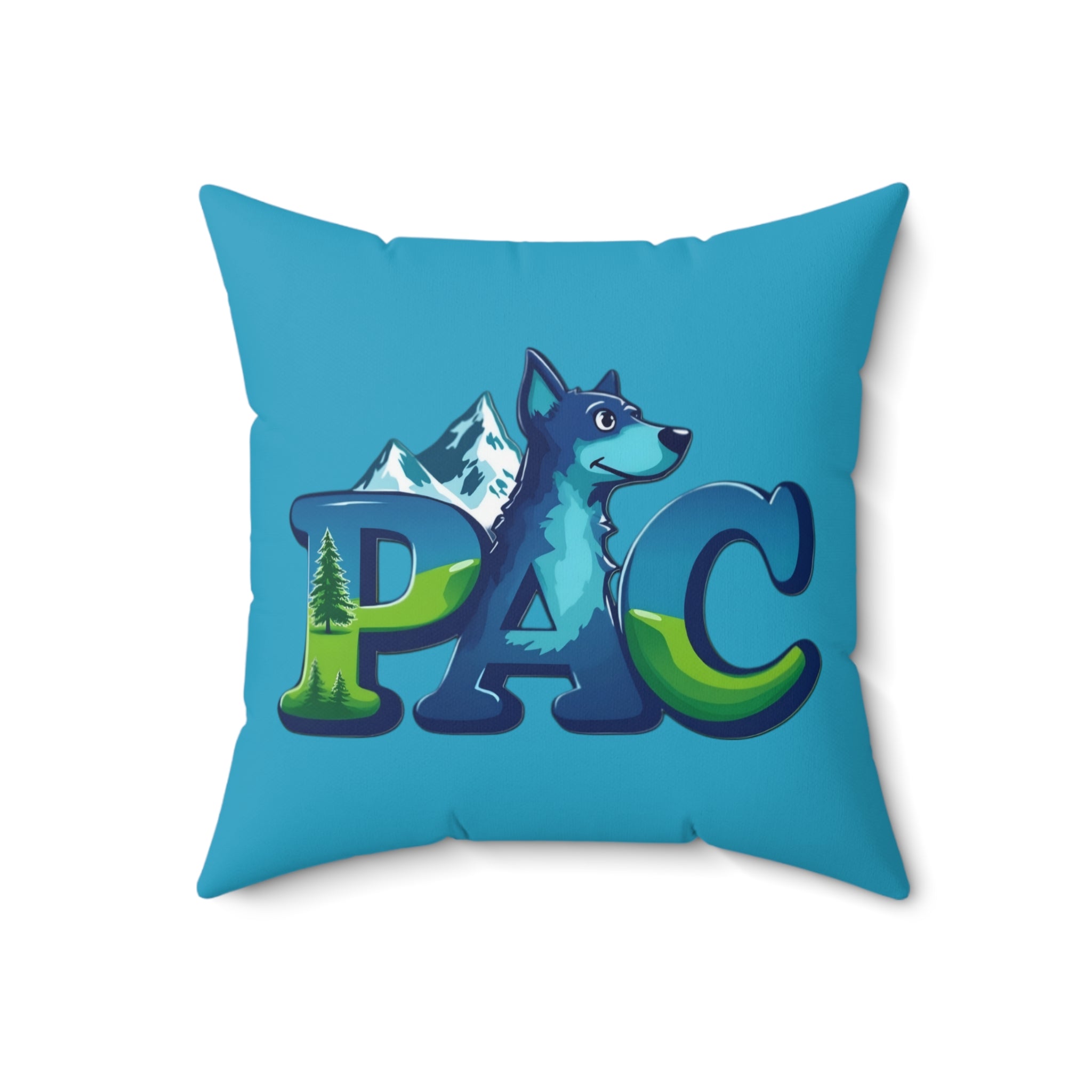 PAC Pillow | Square Polyester Throw Pillow | Turquoise