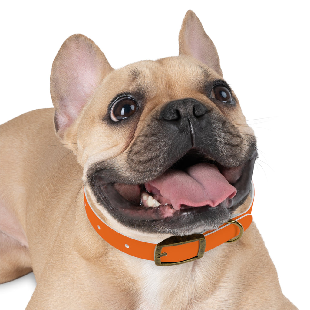 Adjustable Dog Collar | Paw Print | Orange