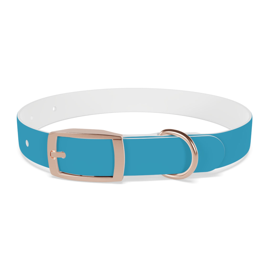 Waterproof Dog Collar | Turquoise
