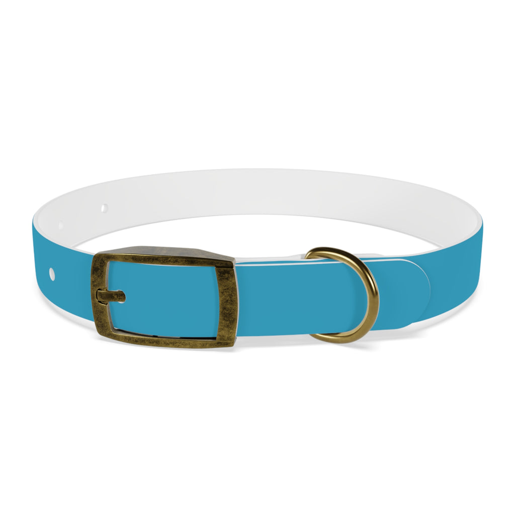 Waterproof Dog Collar | Turquoise