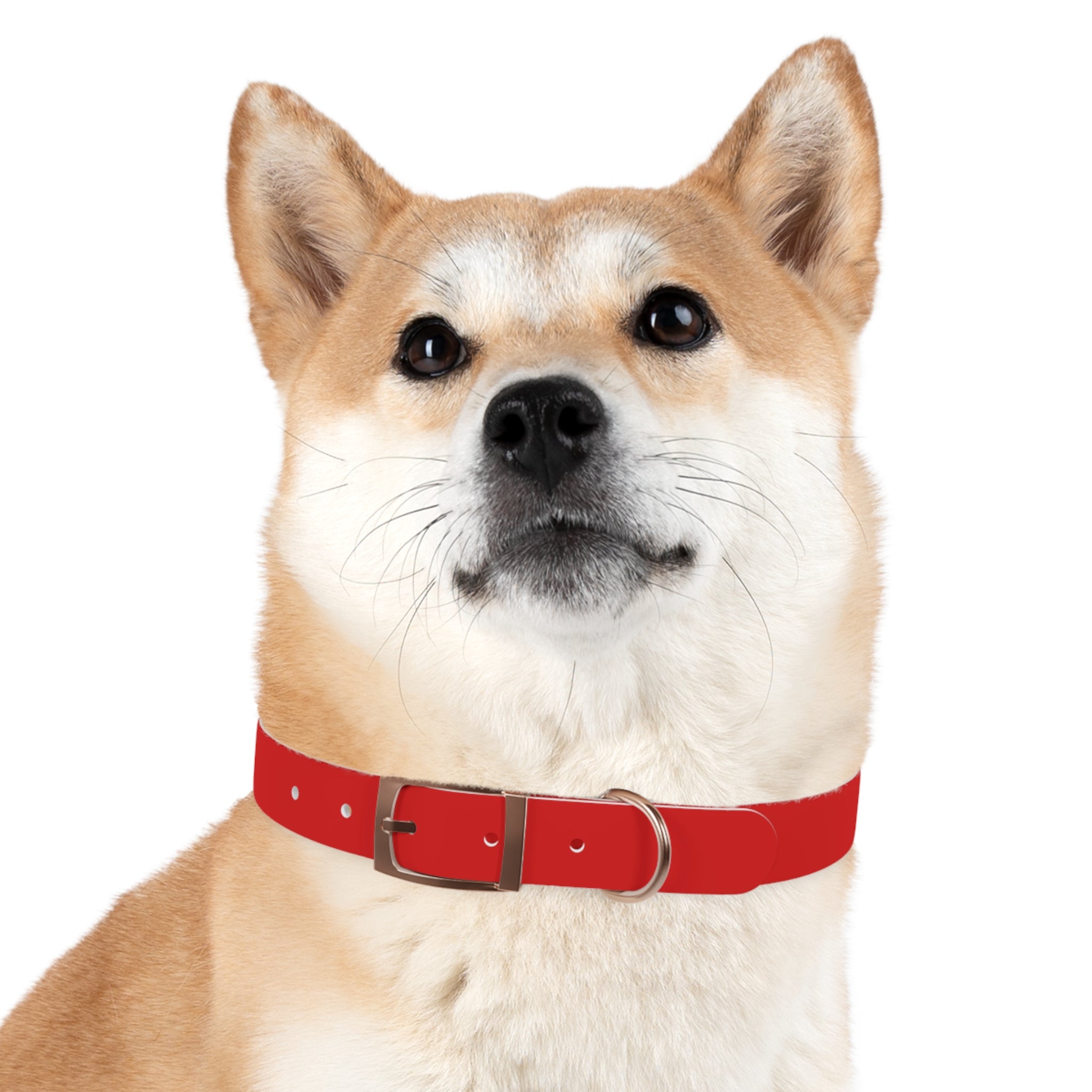 Waterproof Dog Collar | Red