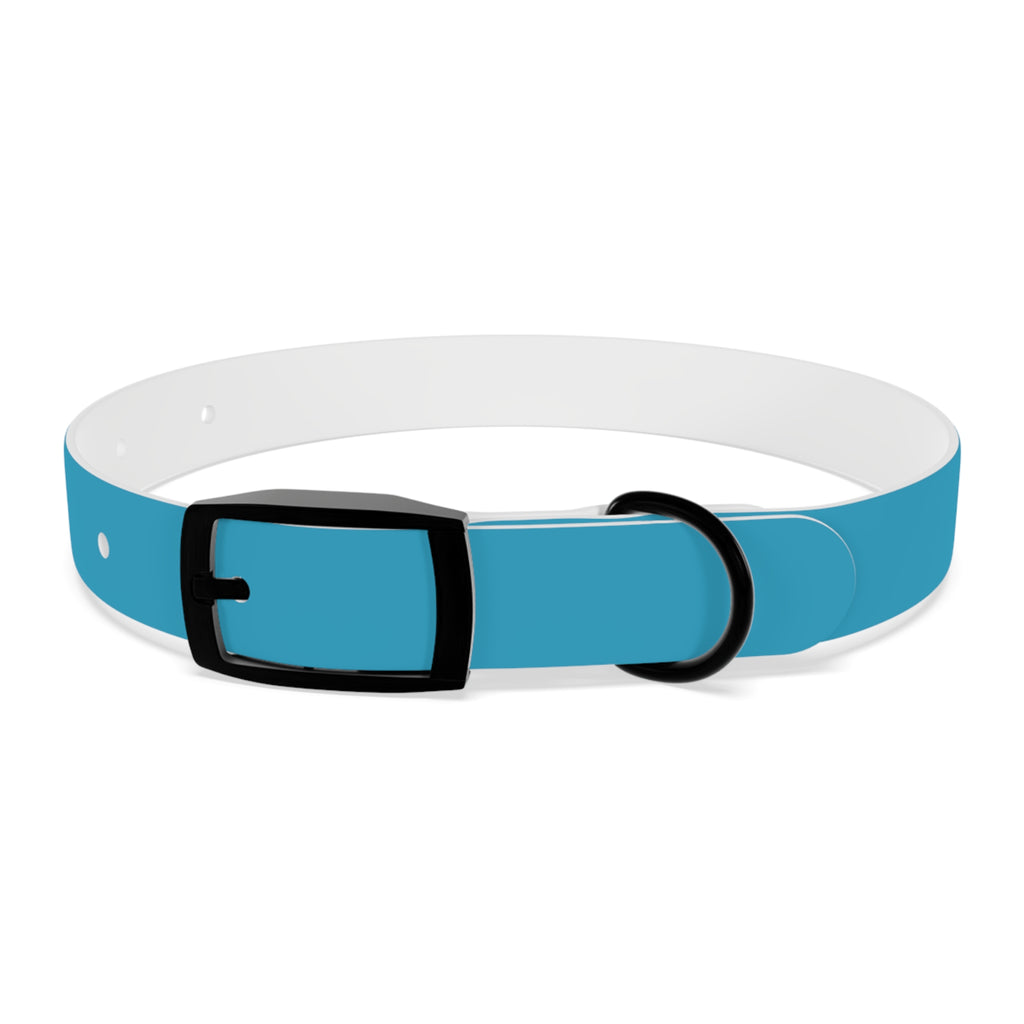 Waterproof Dog Collar | Turquoise