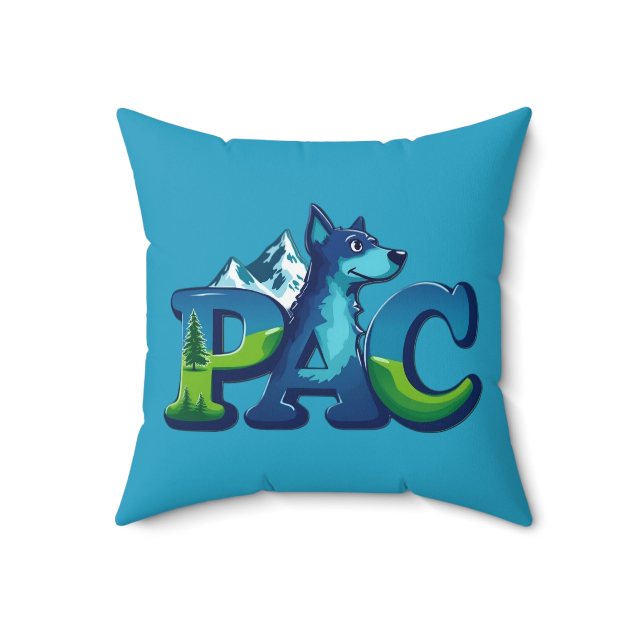 PAC Pillow | Square Polyester Throw Pillow | Turquoise