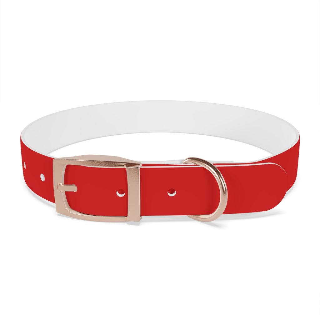 Waterproof Dog Collar | Red