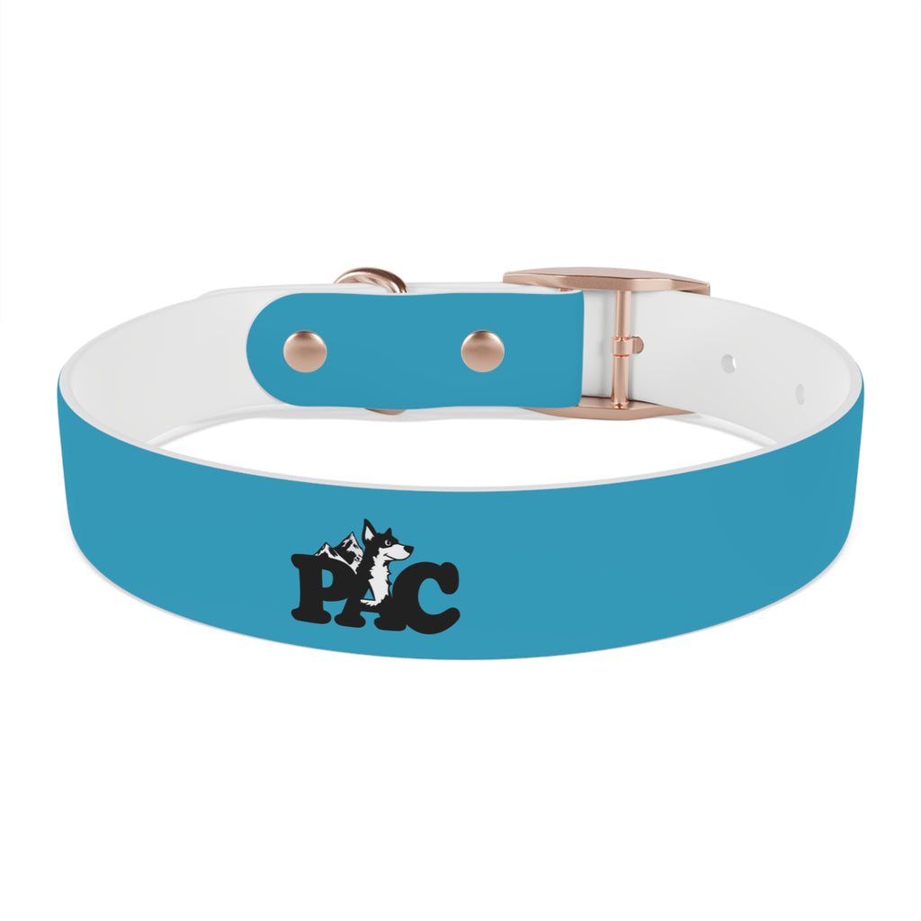 Waterproof Dog Collar | Turquoise