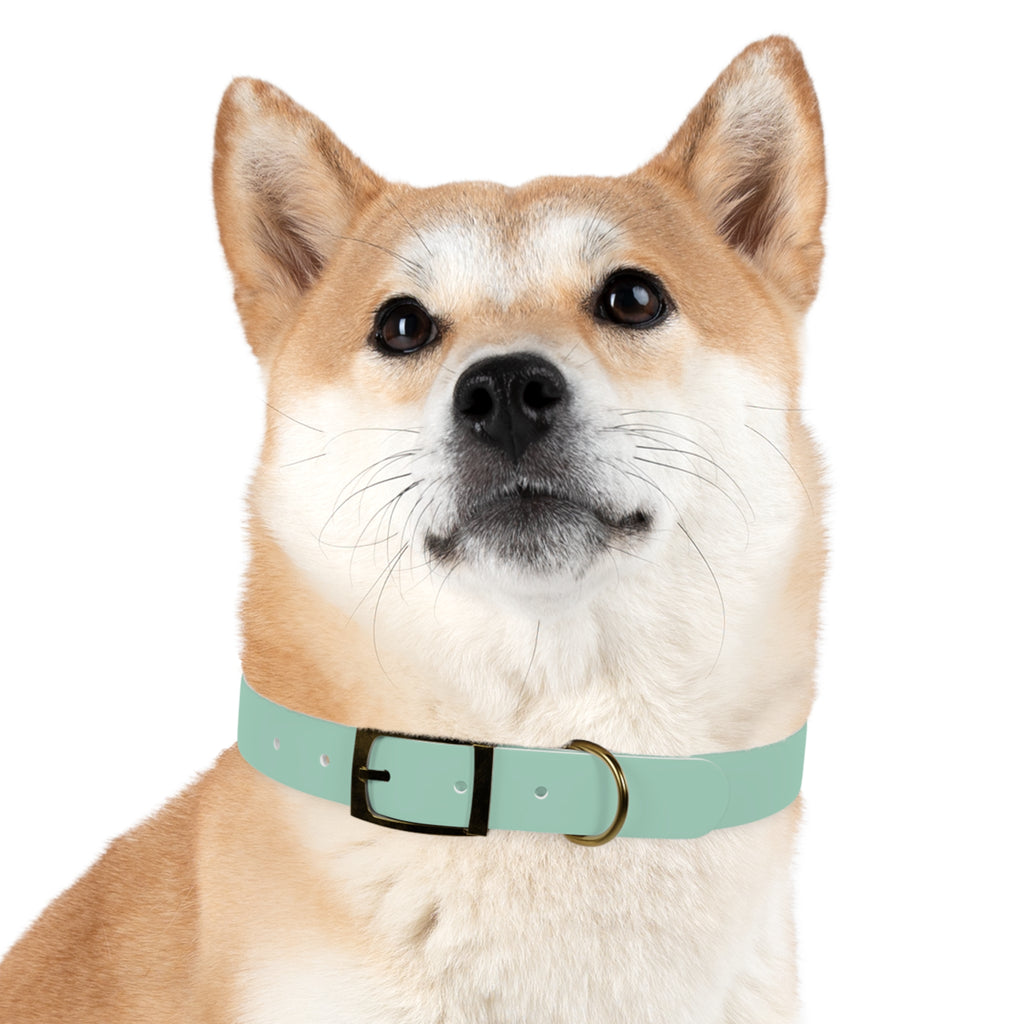 Waterproof Dog Collar | Mint