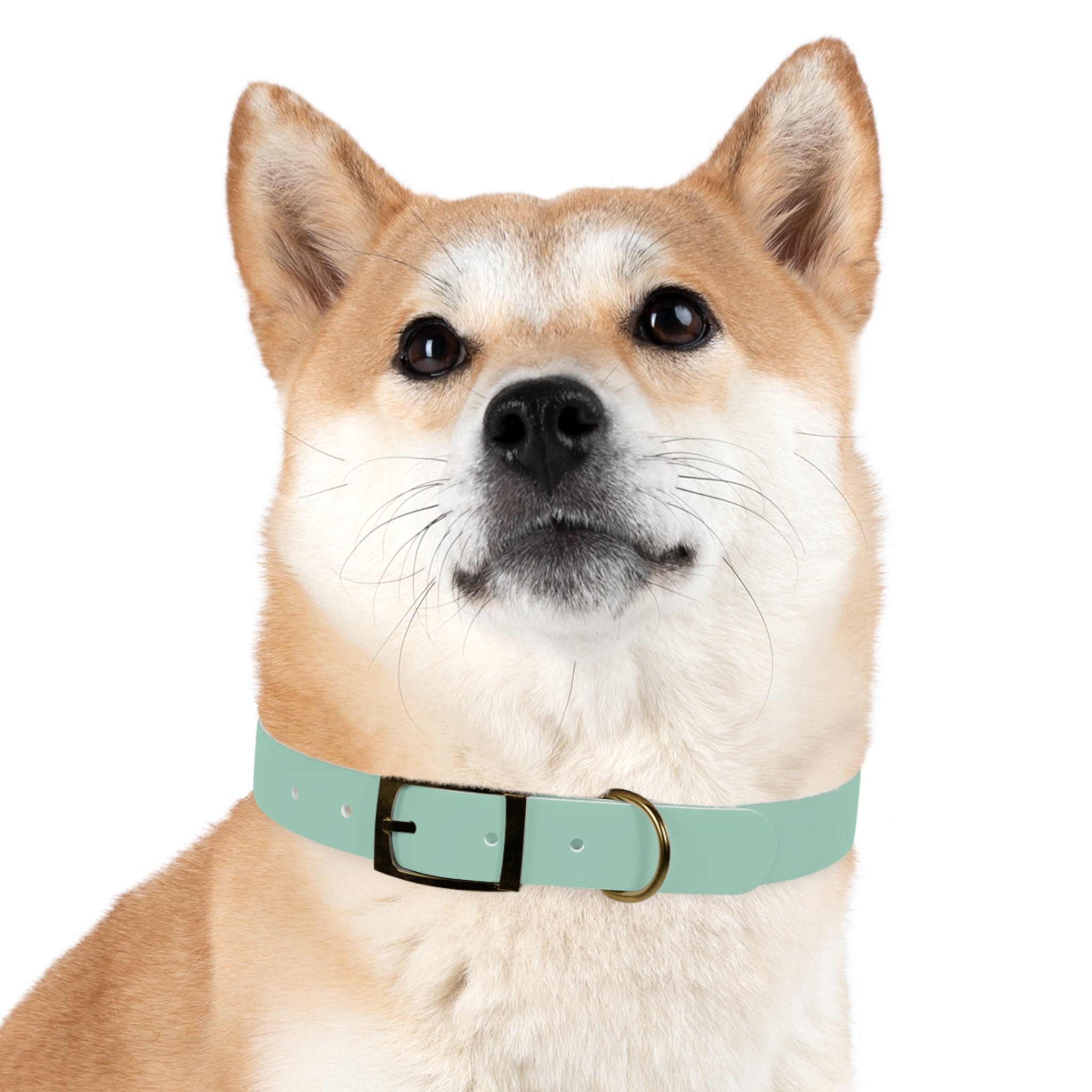 Waterproof Dog Collar | Mint