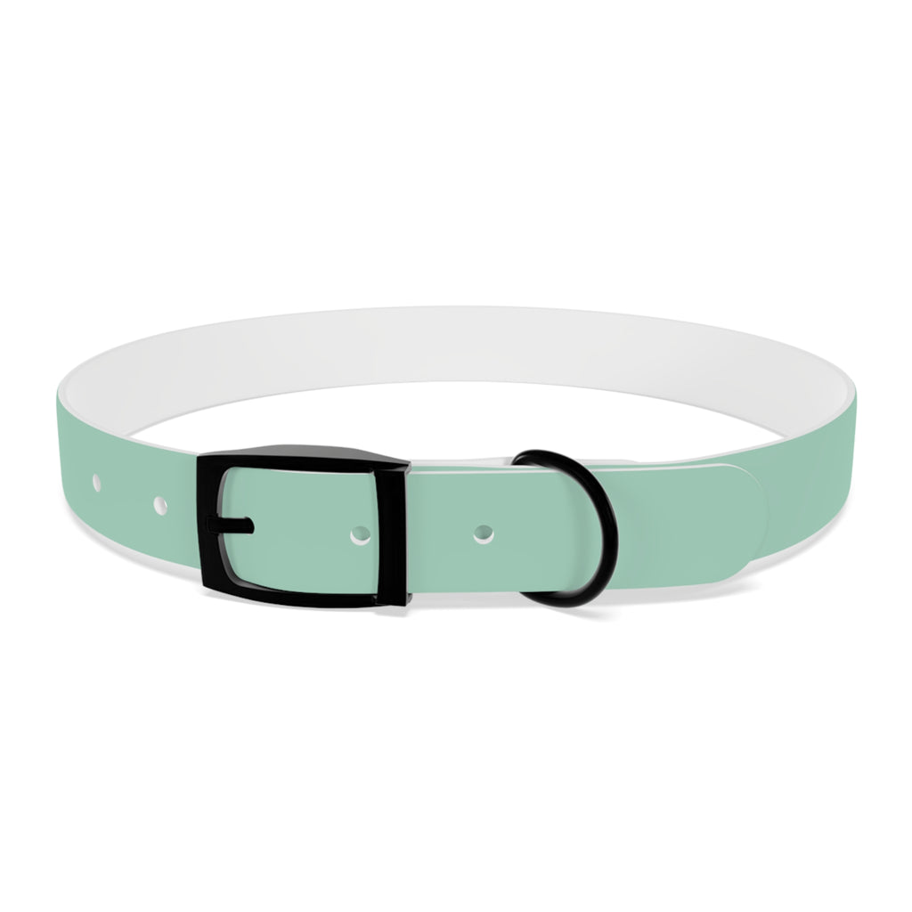 Waterproof Dog Collar | Mint