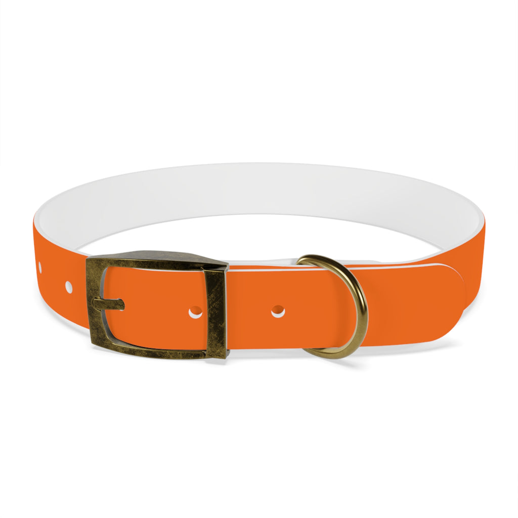 Waterproof Dog Collar | Orange
