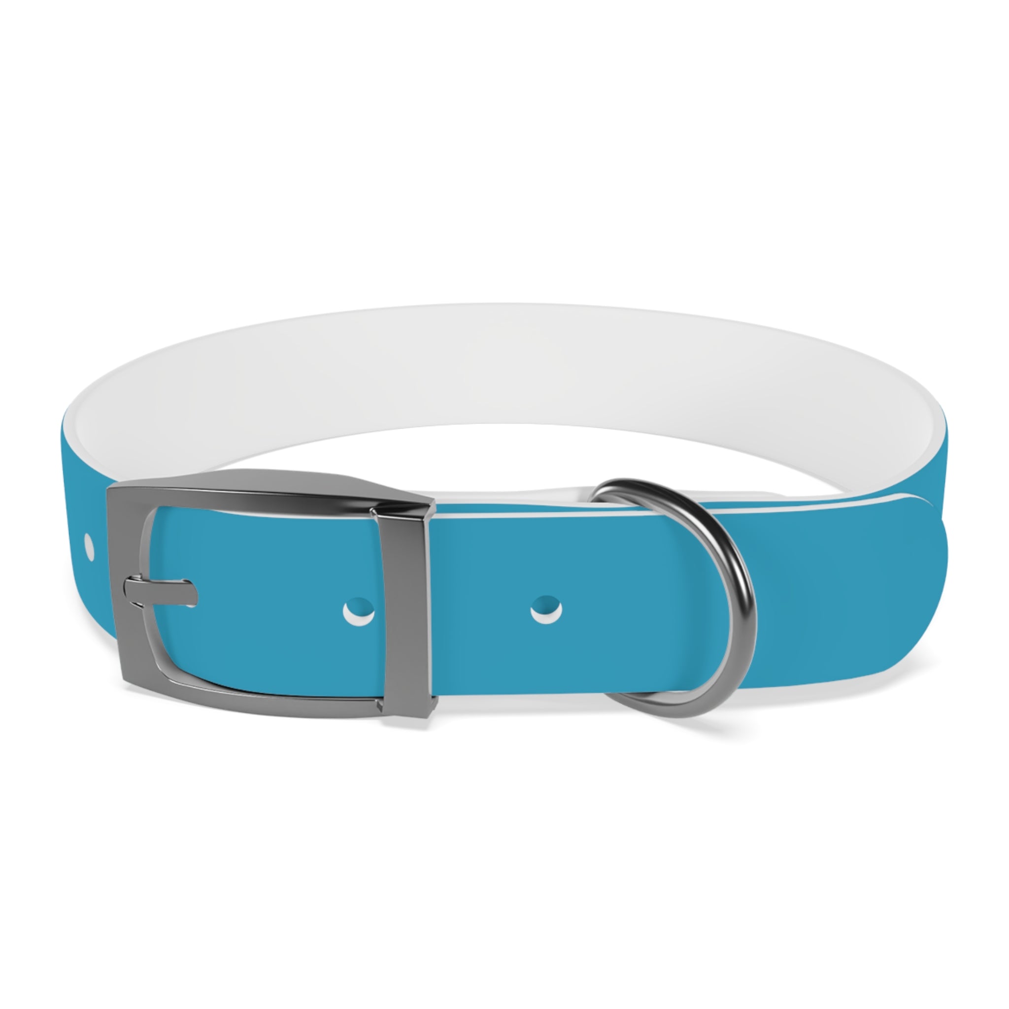 Waterproof Dog Collar | Turquoise