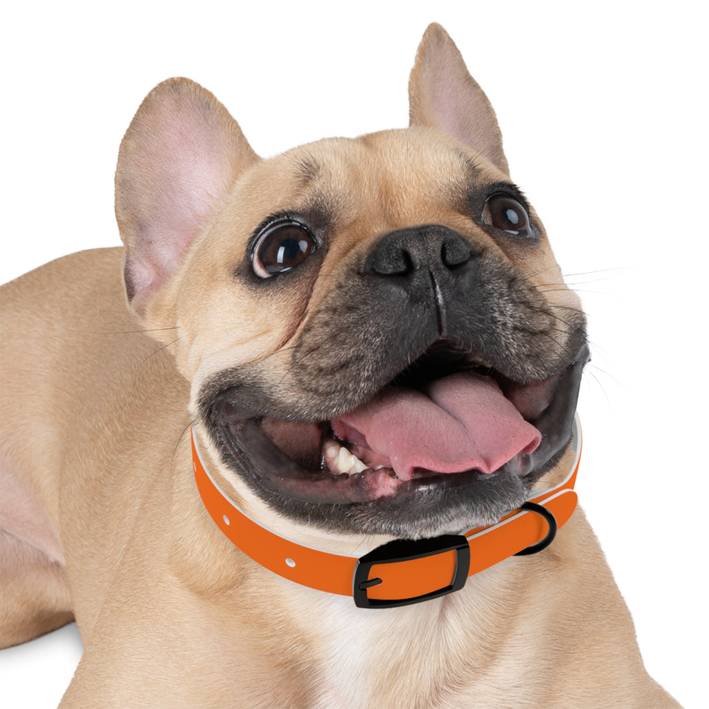 Waterproof Dog Collar | Orange