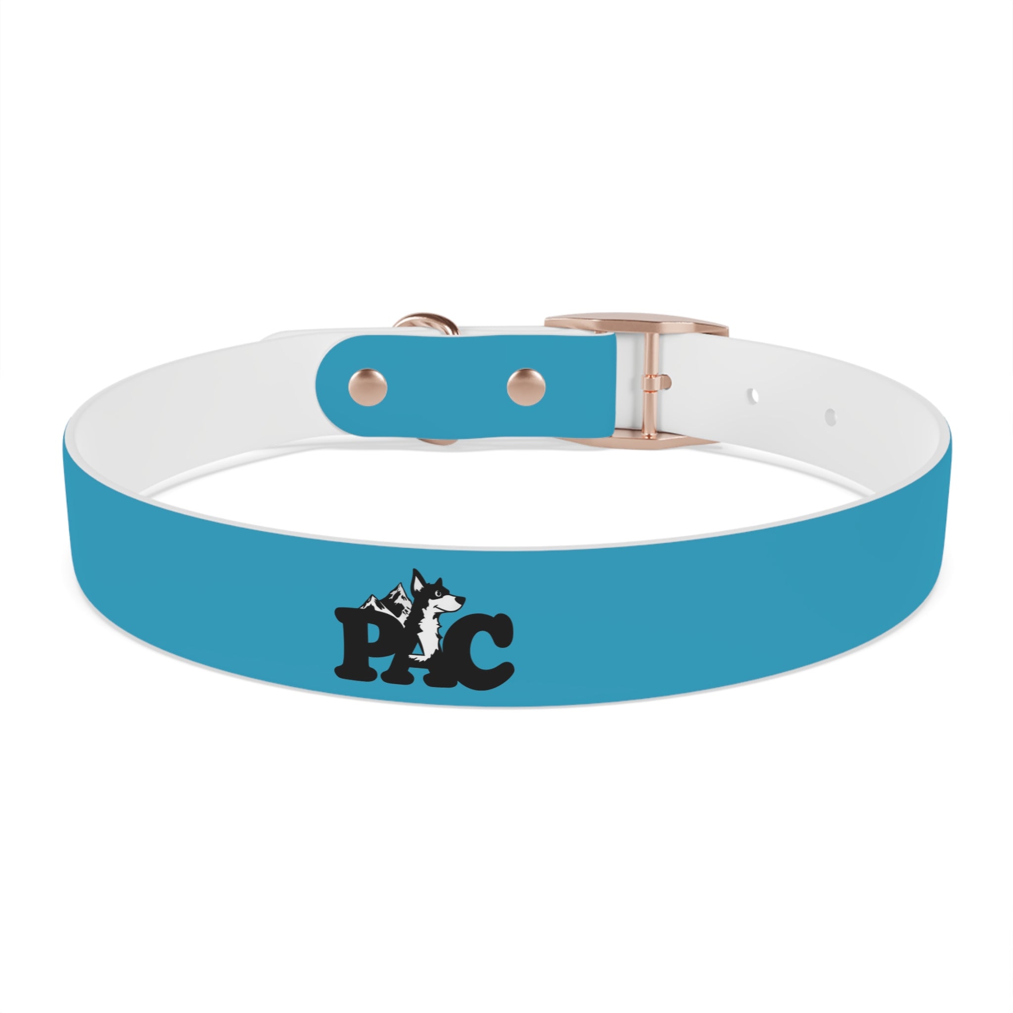 Waterproof Dog Collar | Turquoise