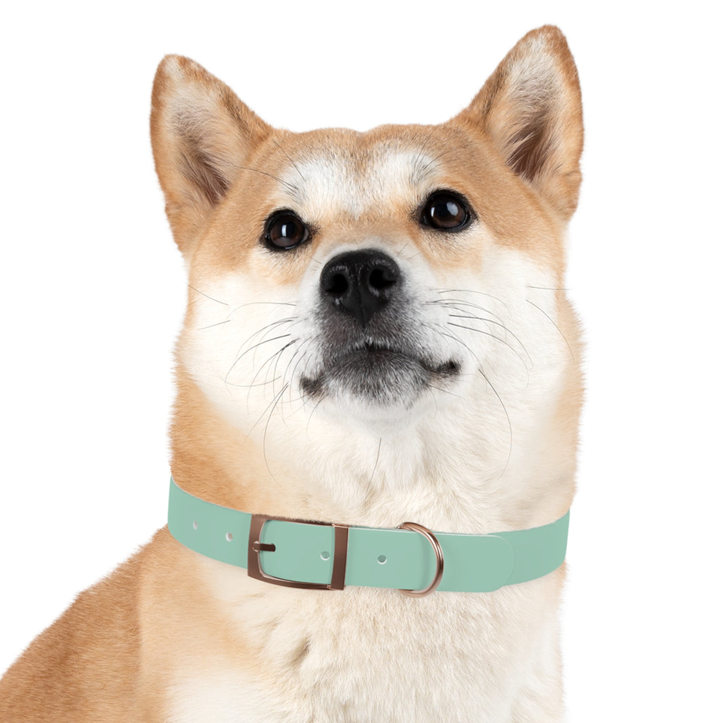 Waterproof Dog Collar | Mint