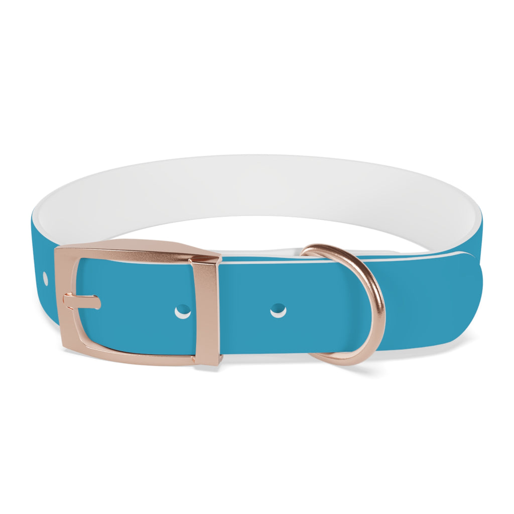 Waterproof Dog Collar | Turquoise