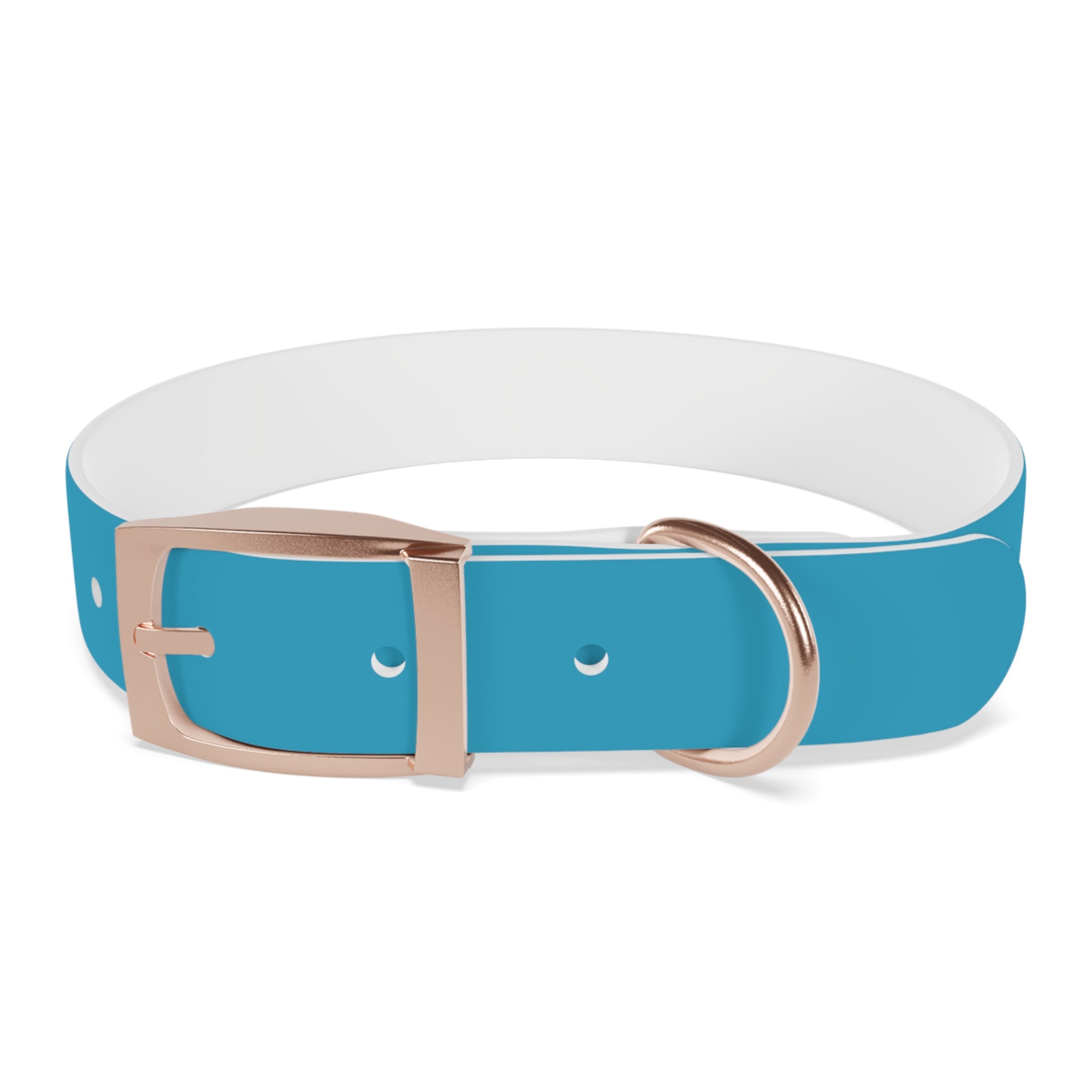 Waterproof Dog Collar | Turquoise
