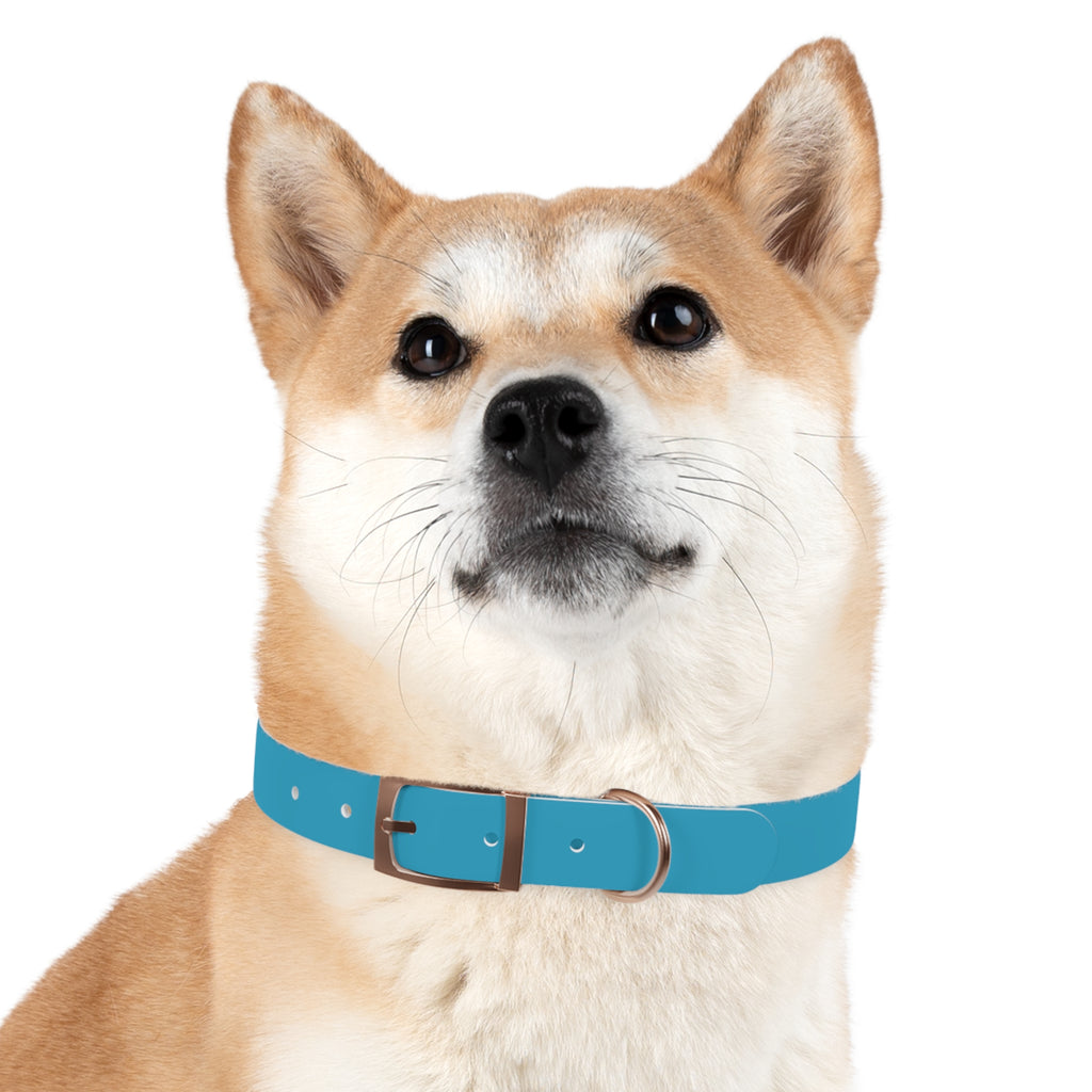 Waterproof Dog Collar | Turquoise