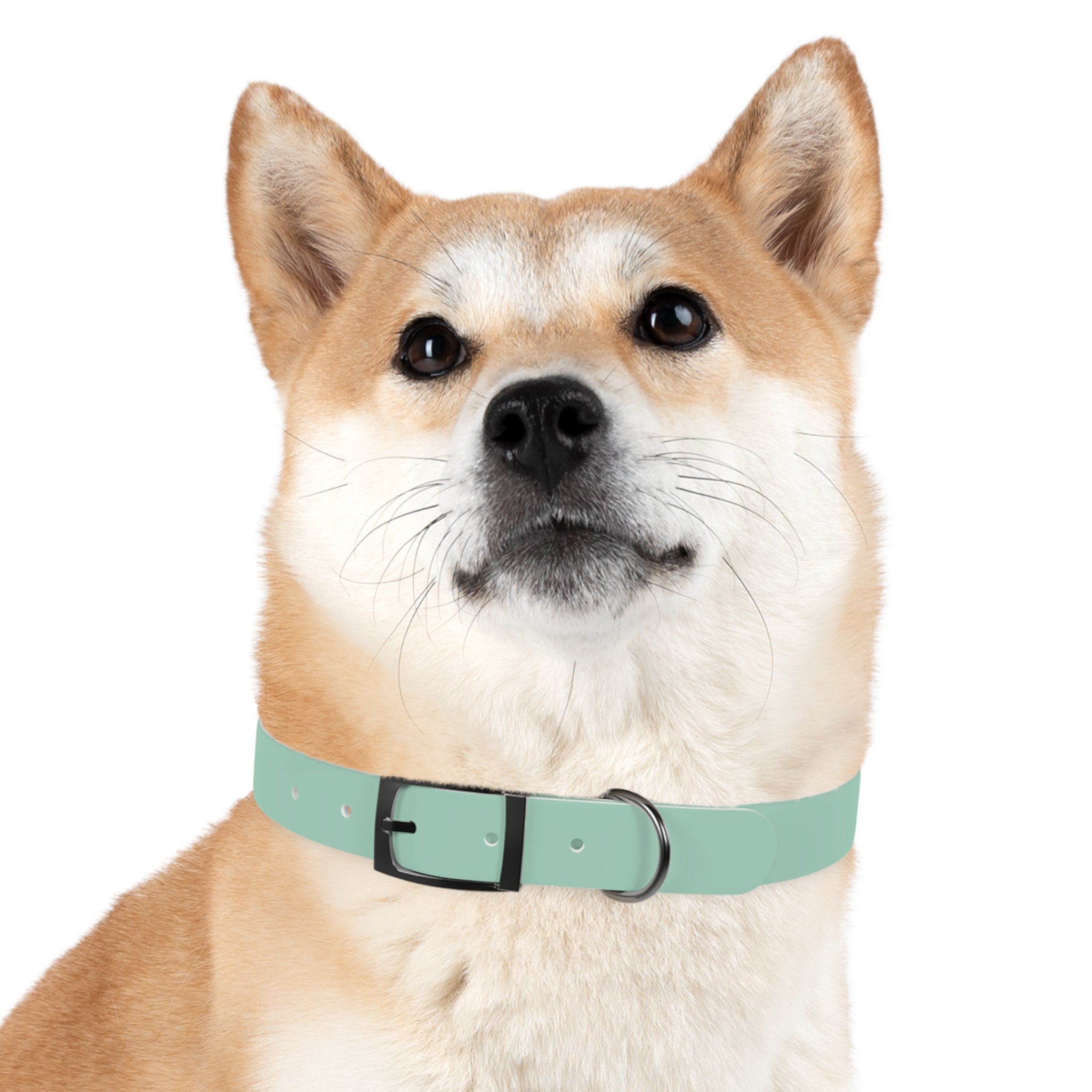 Waterproof Dog Collar | Mint