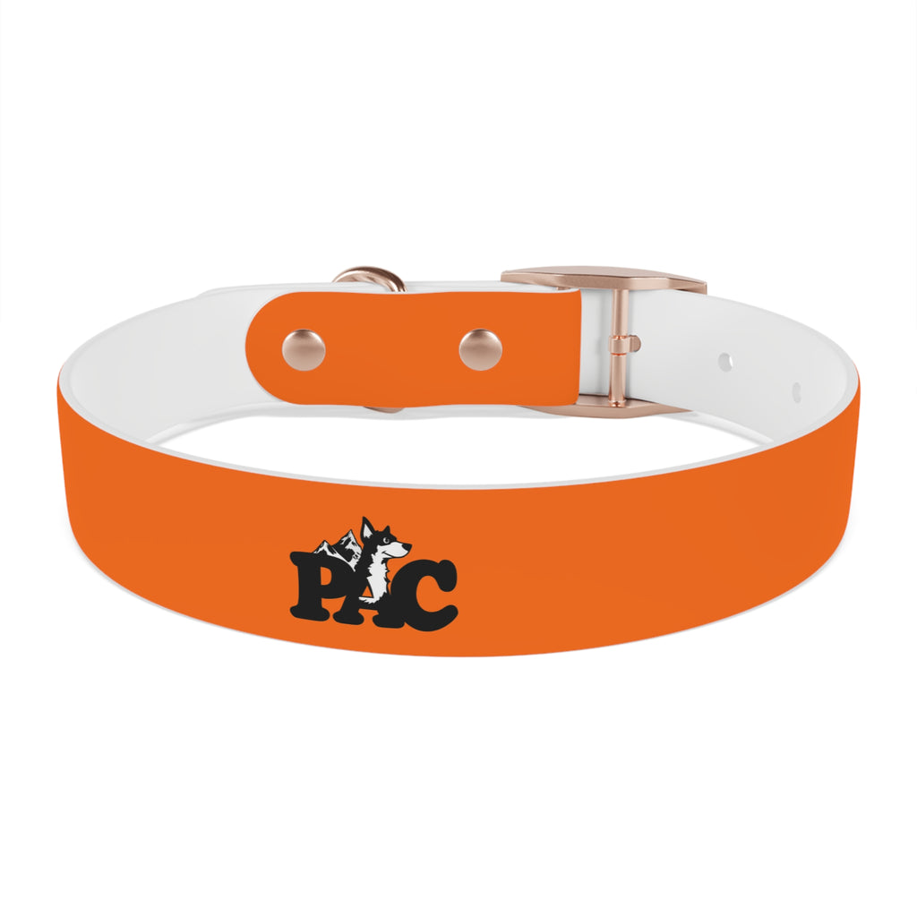 Waterproof Dog Collar | Orange