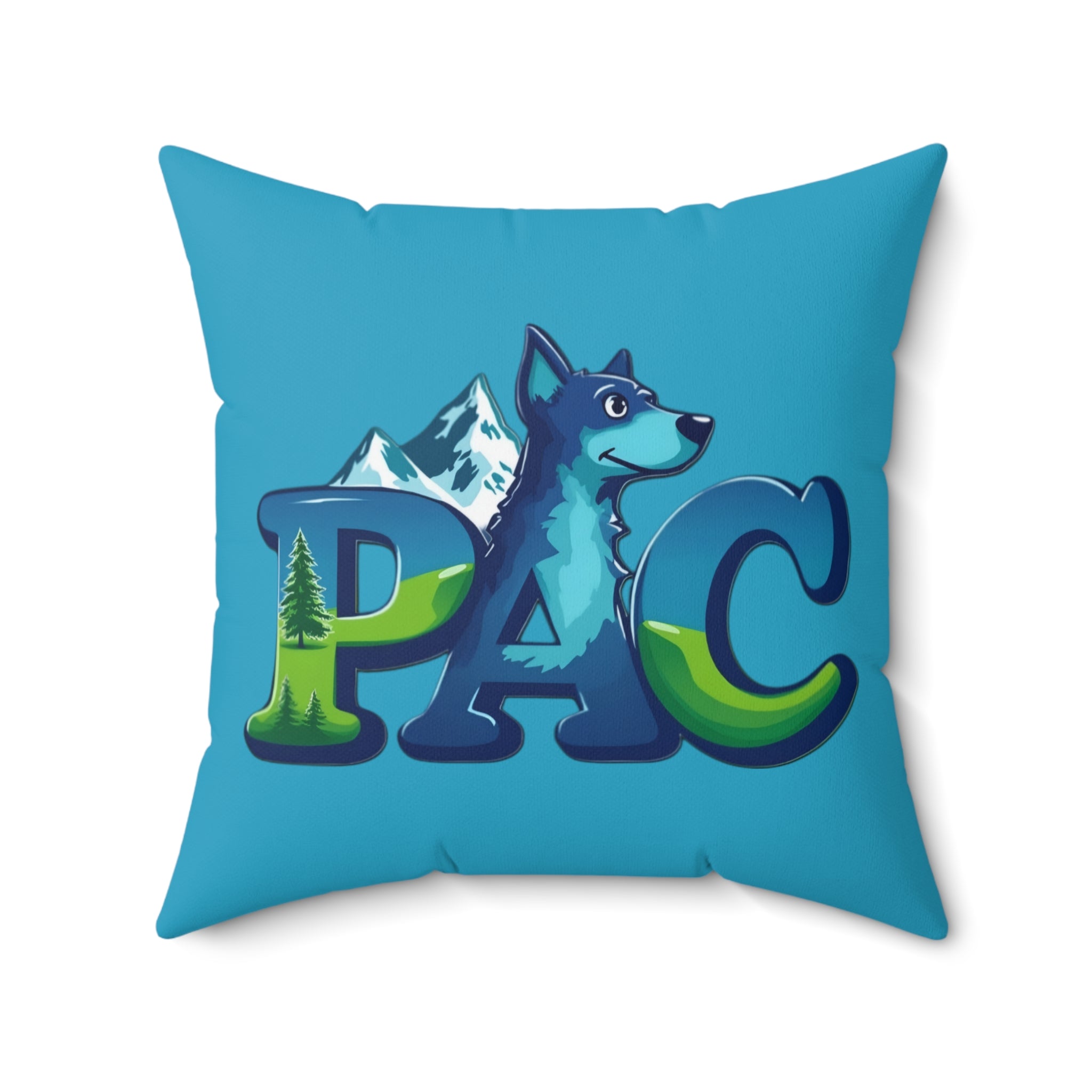 PAC Pillow | Square Polyester Throw Pillow | Turquoise