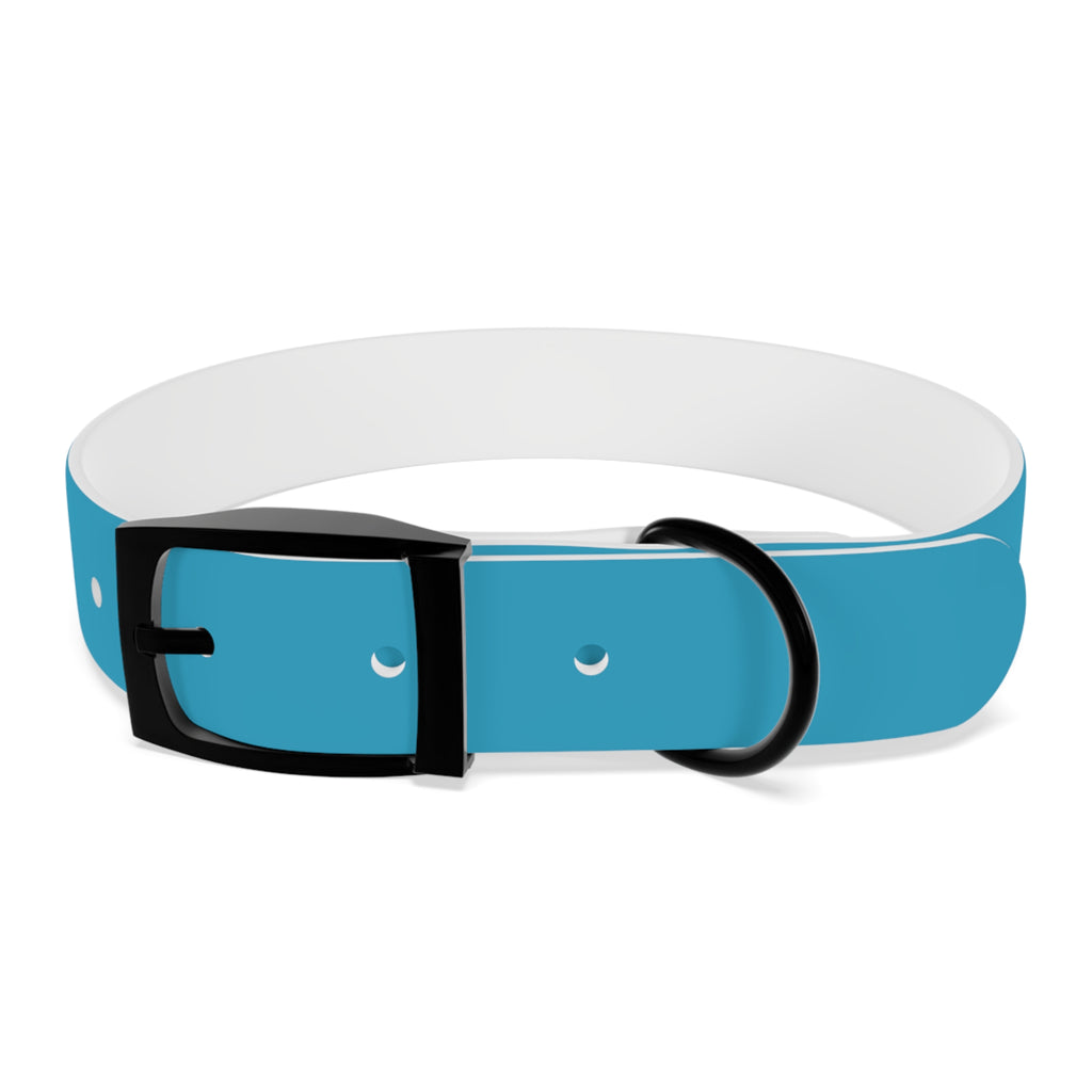 Waterproof Dog Collar | Turquoise
