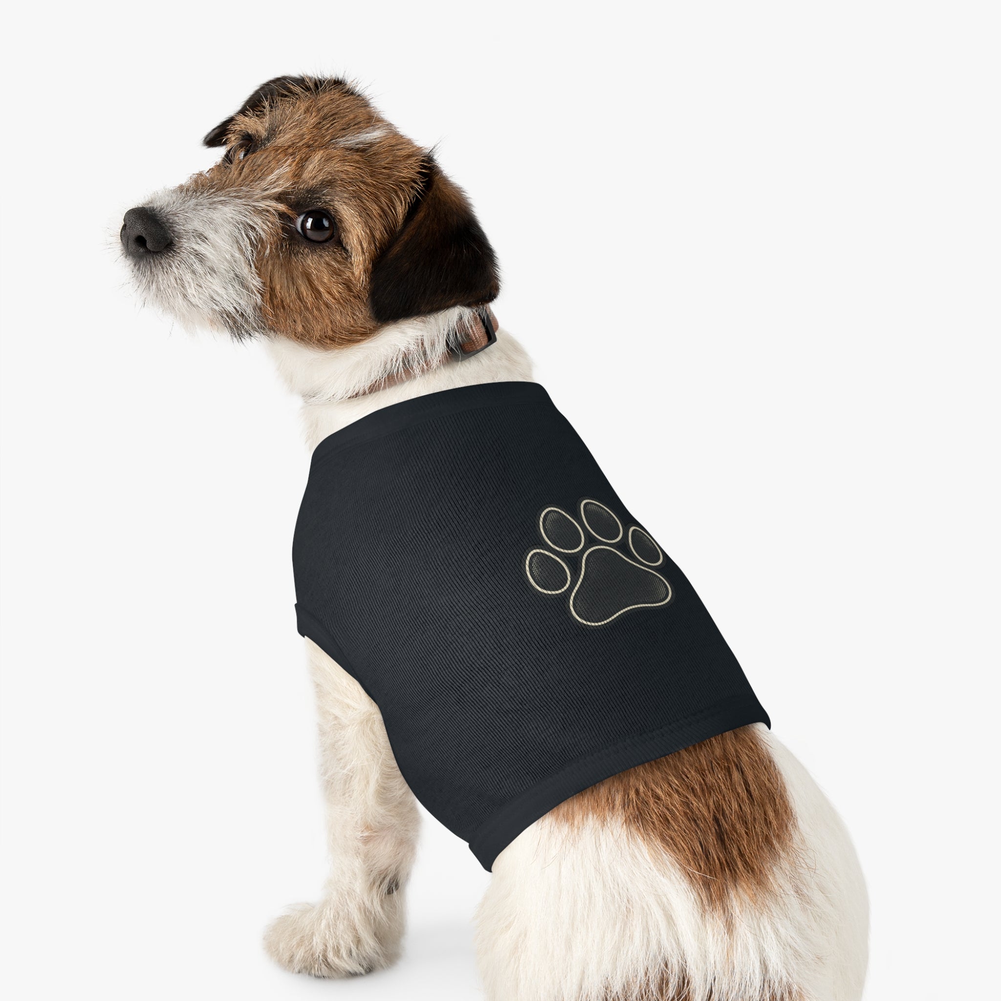 Dog Sweater | Paw Print | Multi Colors