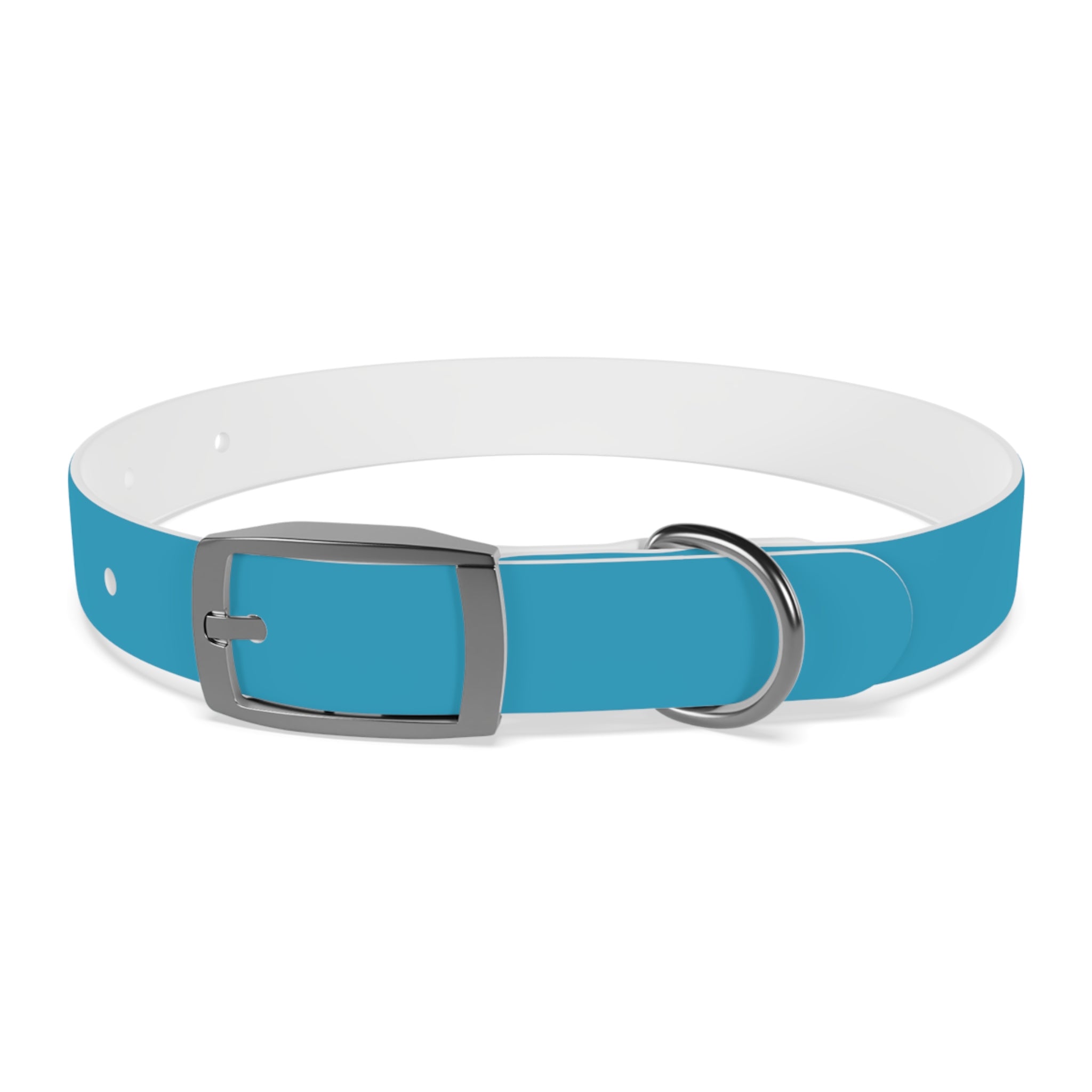 Waterproof Dog Collar | Turquoise