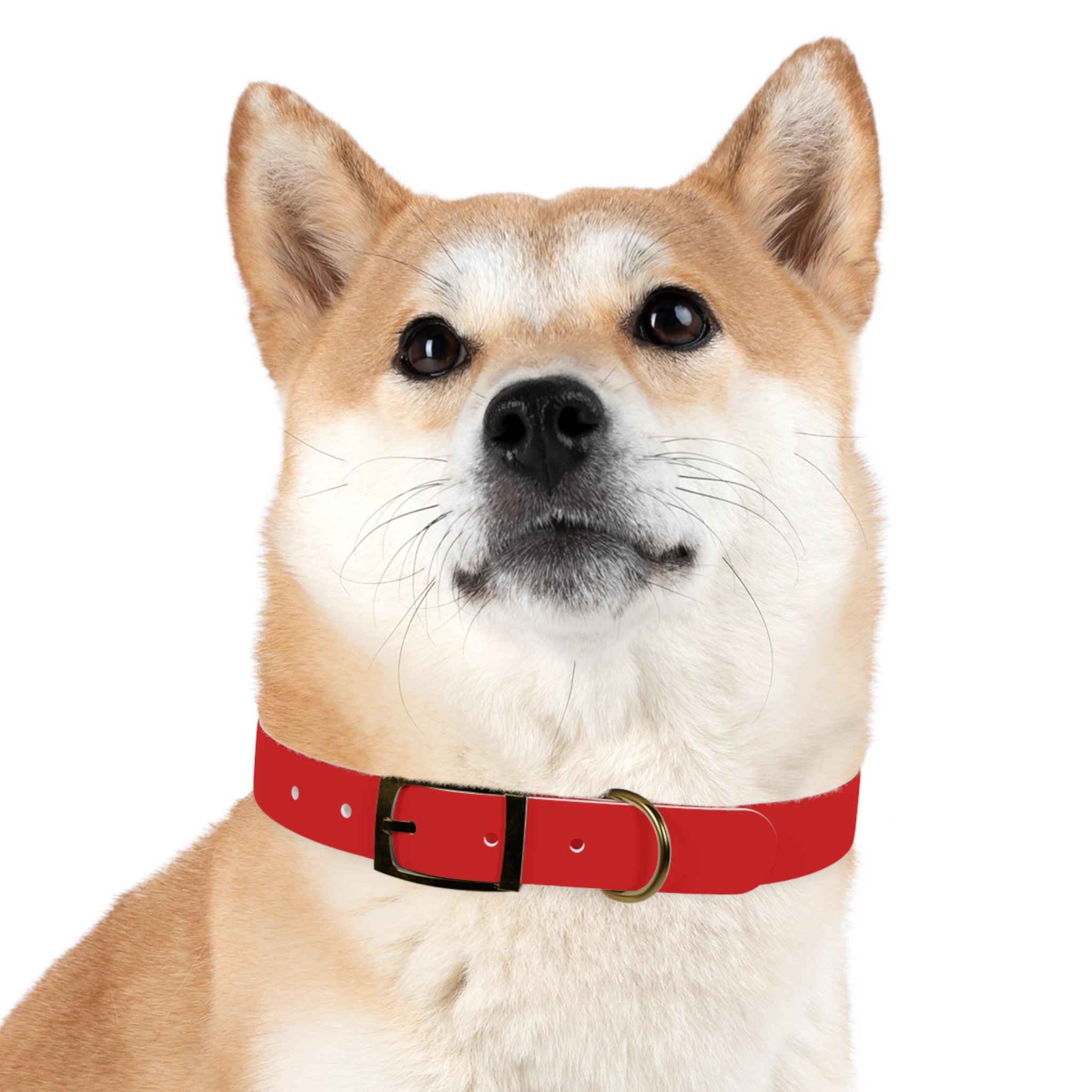 Waterproof Dog Collar | Red