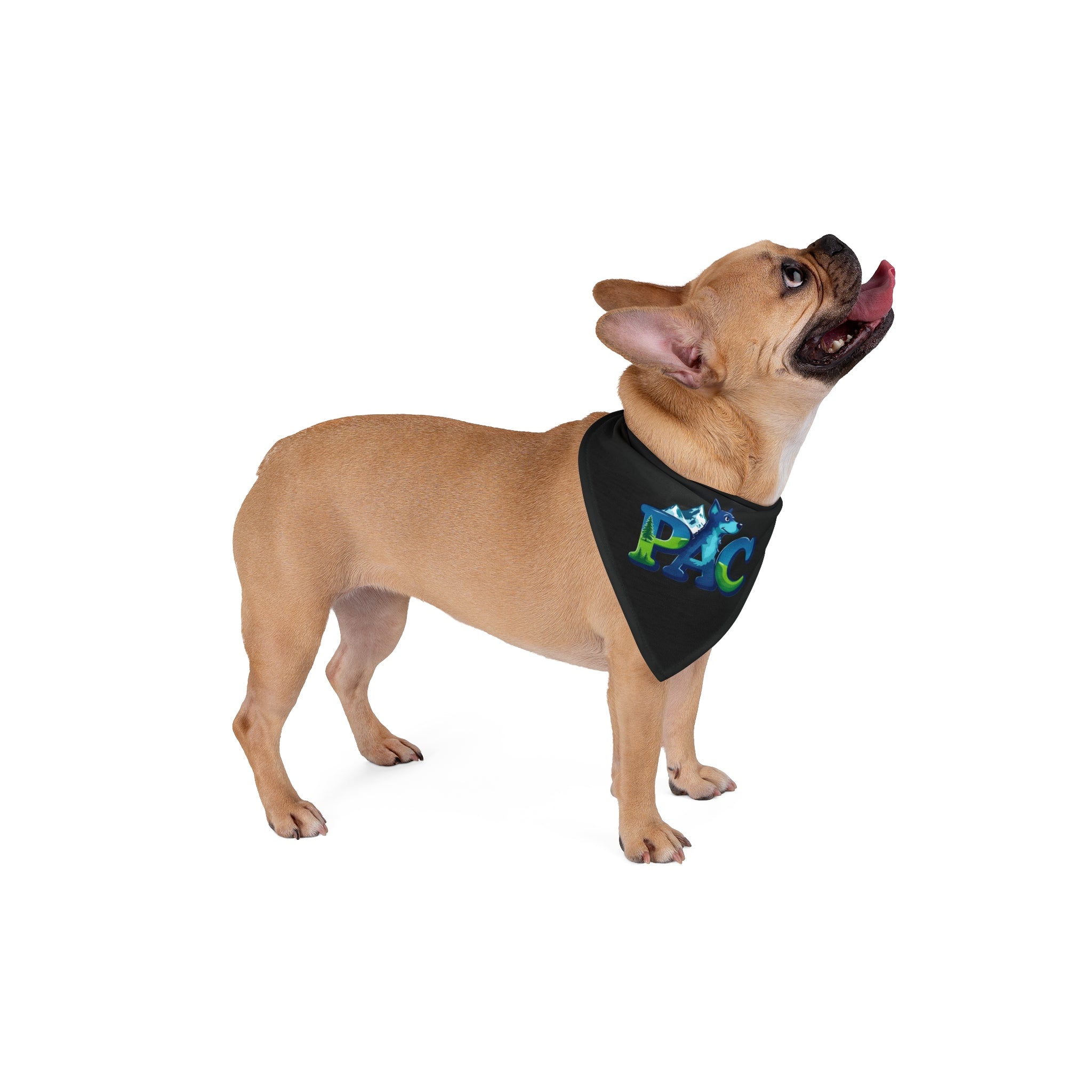 PAC | Dog Bandana | Black