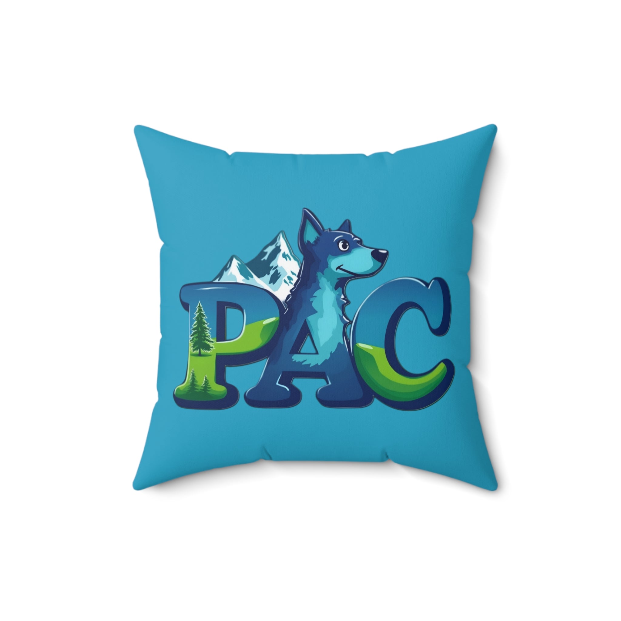 PAC Pillow | Square Polyester Throw Pillow | Turquoise