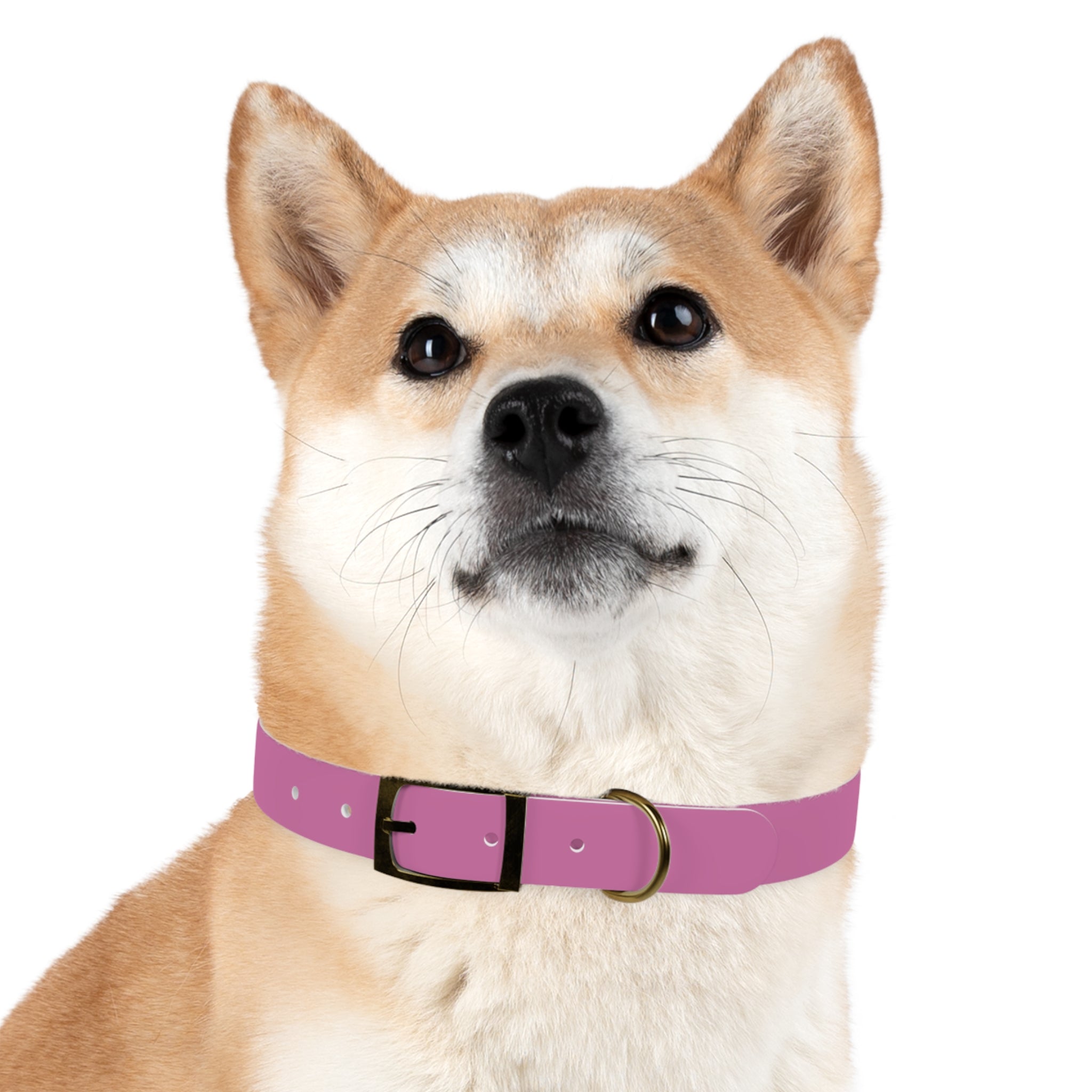 Waterproof Dog Collar | Pink
