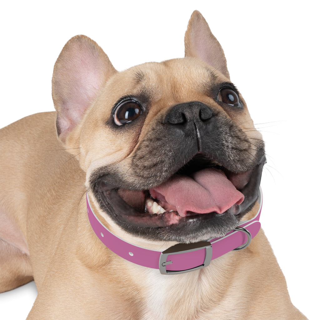 Waterproof Dog Collar | Pink