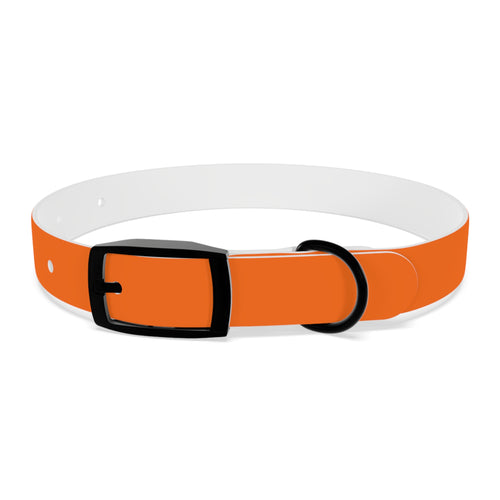 Adjustable Dog Collar | Paw Print | Orange
