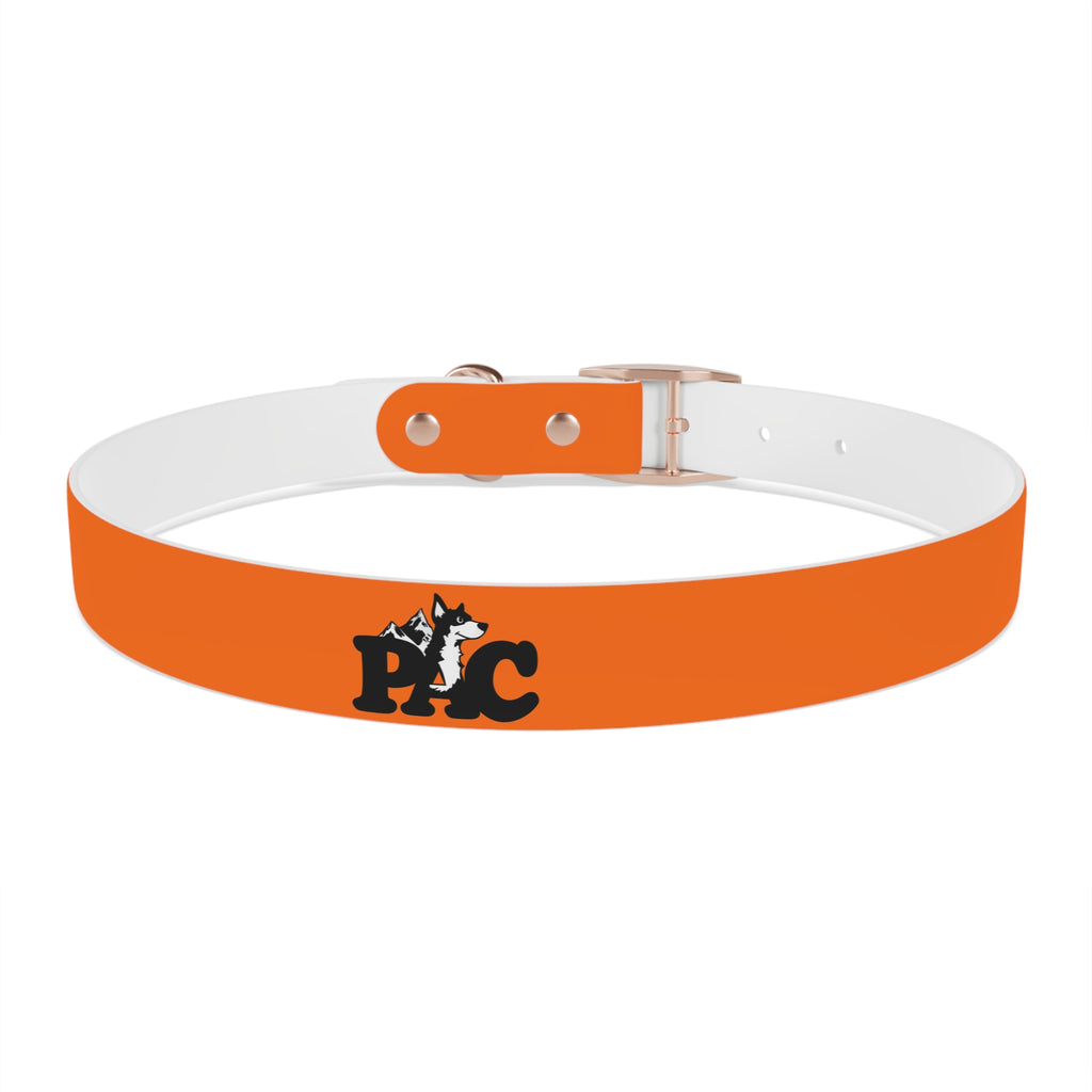 Waterproof Dog Collar | Orange