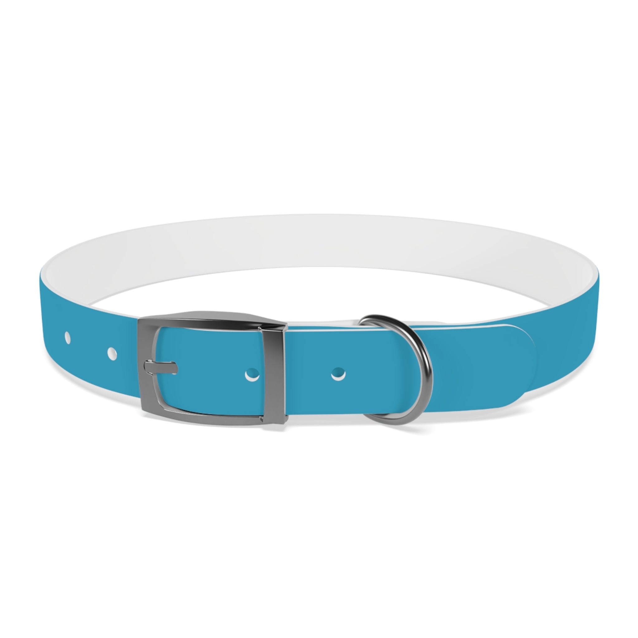 Waterproof Dog Collar | Turquoise