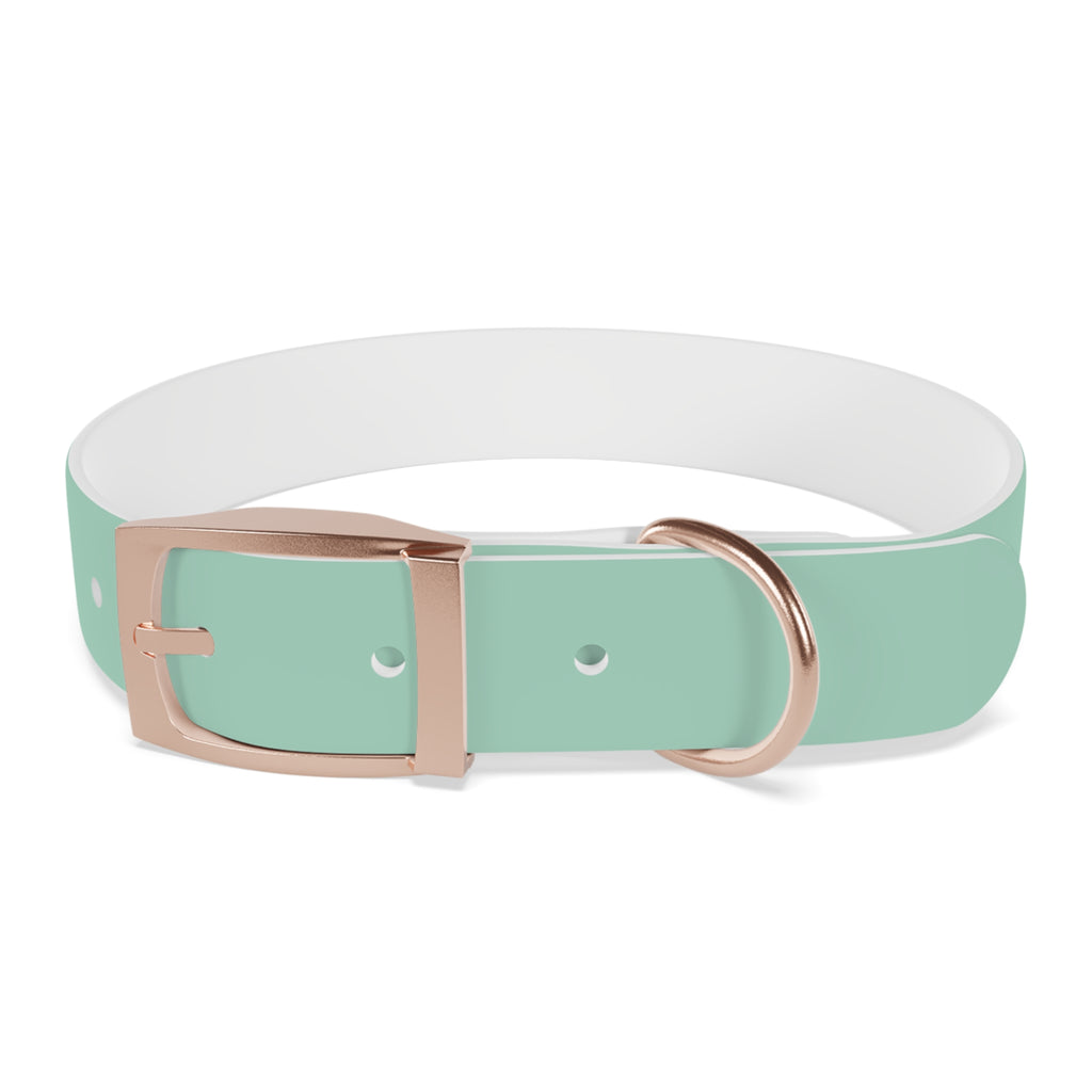 Waterproof Dog Collar | Mint