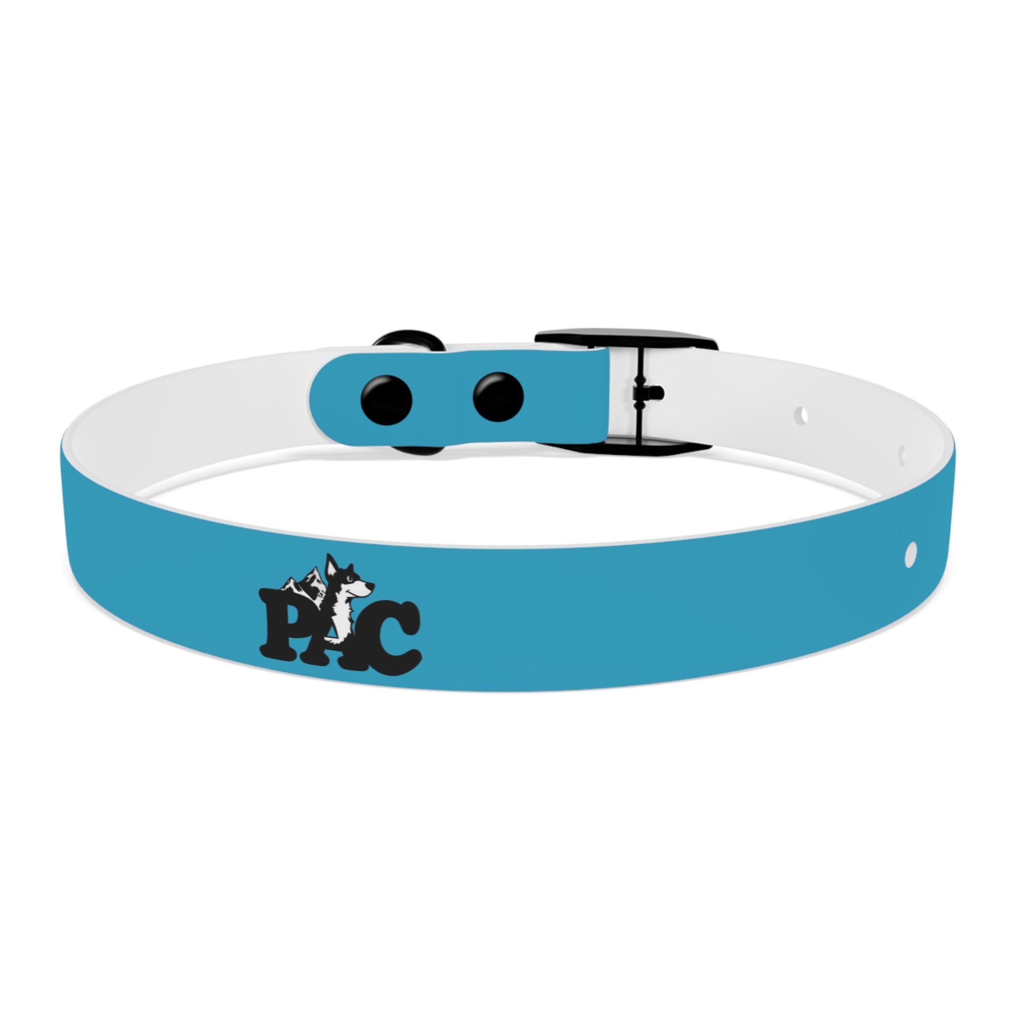 Waterproof Dog Collar | Turquoise