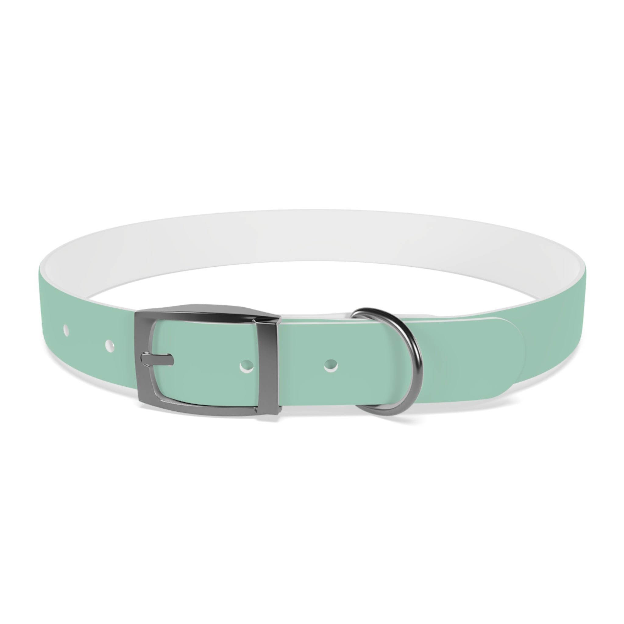 Waterproof Dog Collar | Mint
