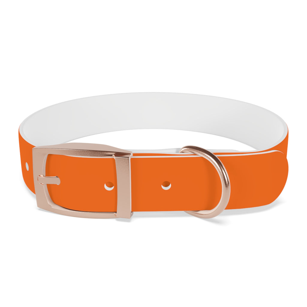 Adjustable Dog Collar | Paw Print | Orange