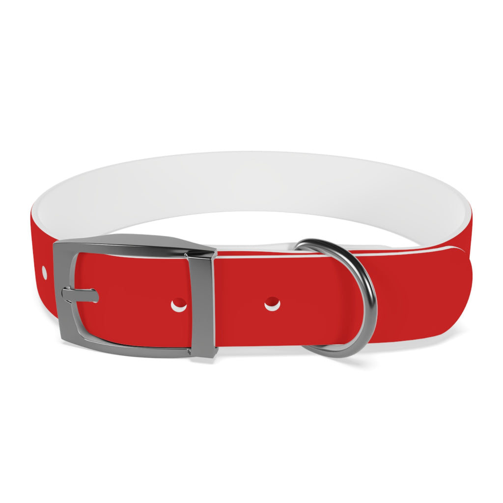 Waterproof Dog Collar | Red