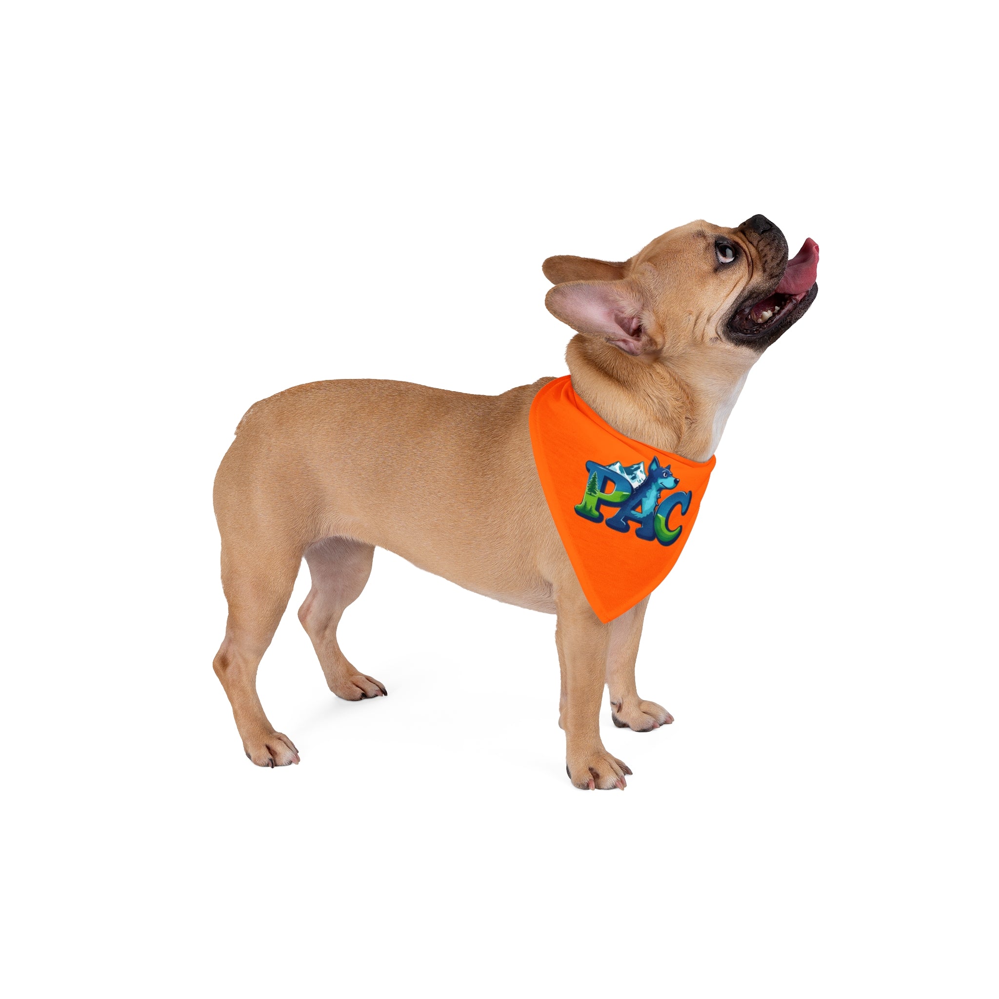 PAC | Dog Bandana | Orange