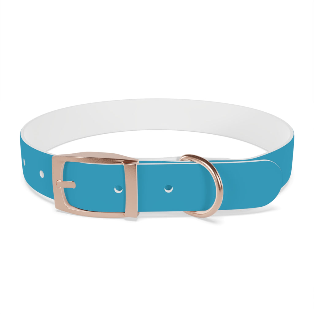 Waterproof Dog Collar | Turquoise