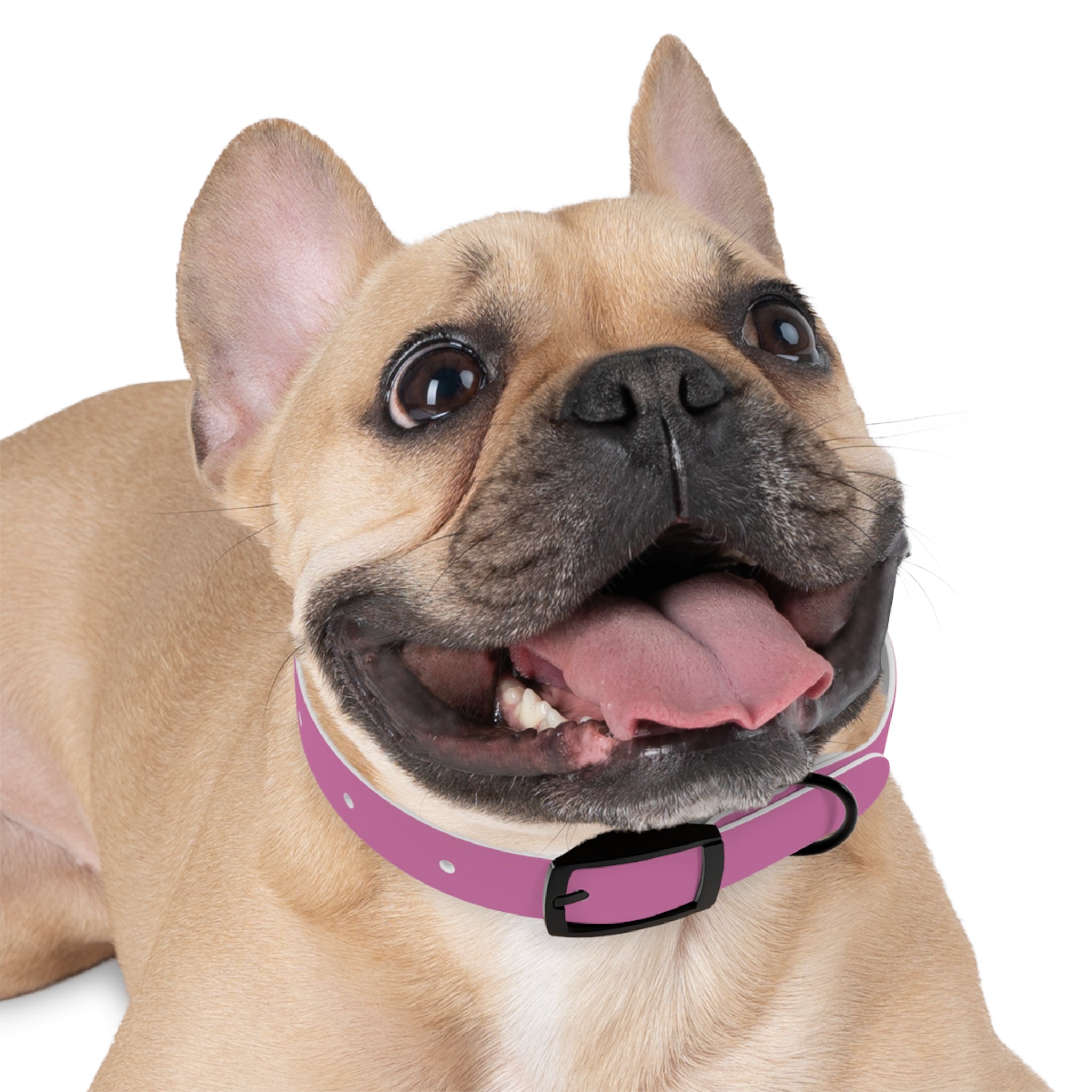 Waterproof Dog Collar | Pink