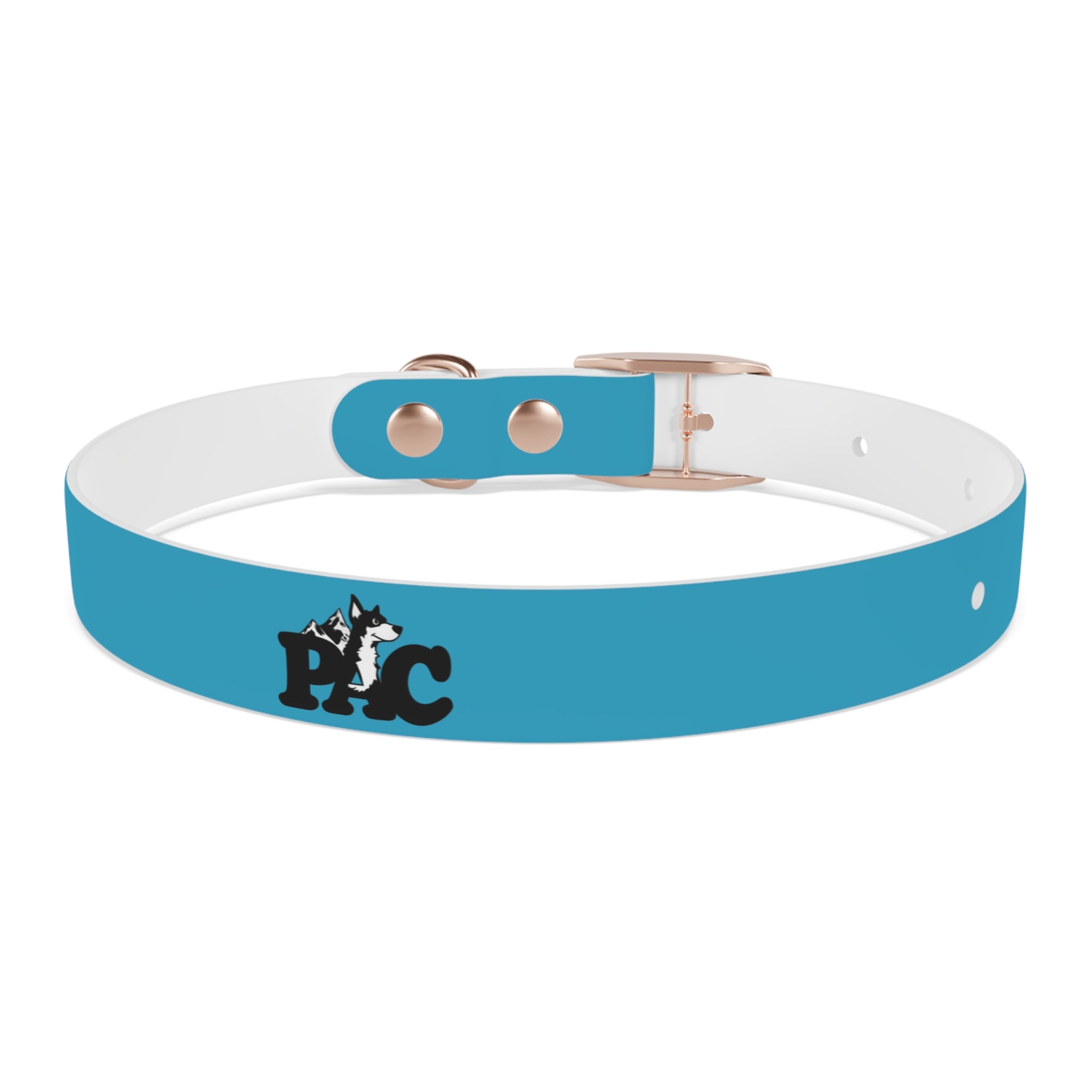 Waterproof Dog Collar | Turquoise