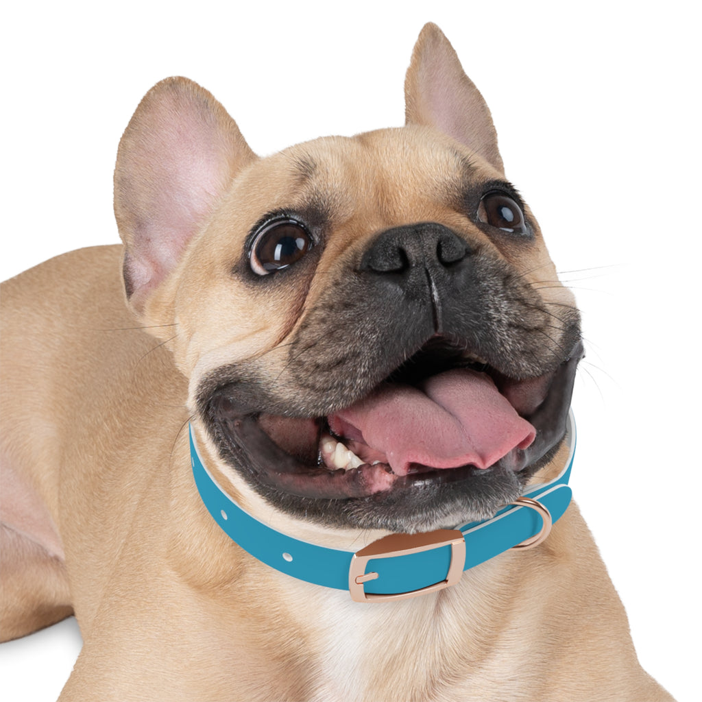Waterproof Dog Collar | Turquoise
