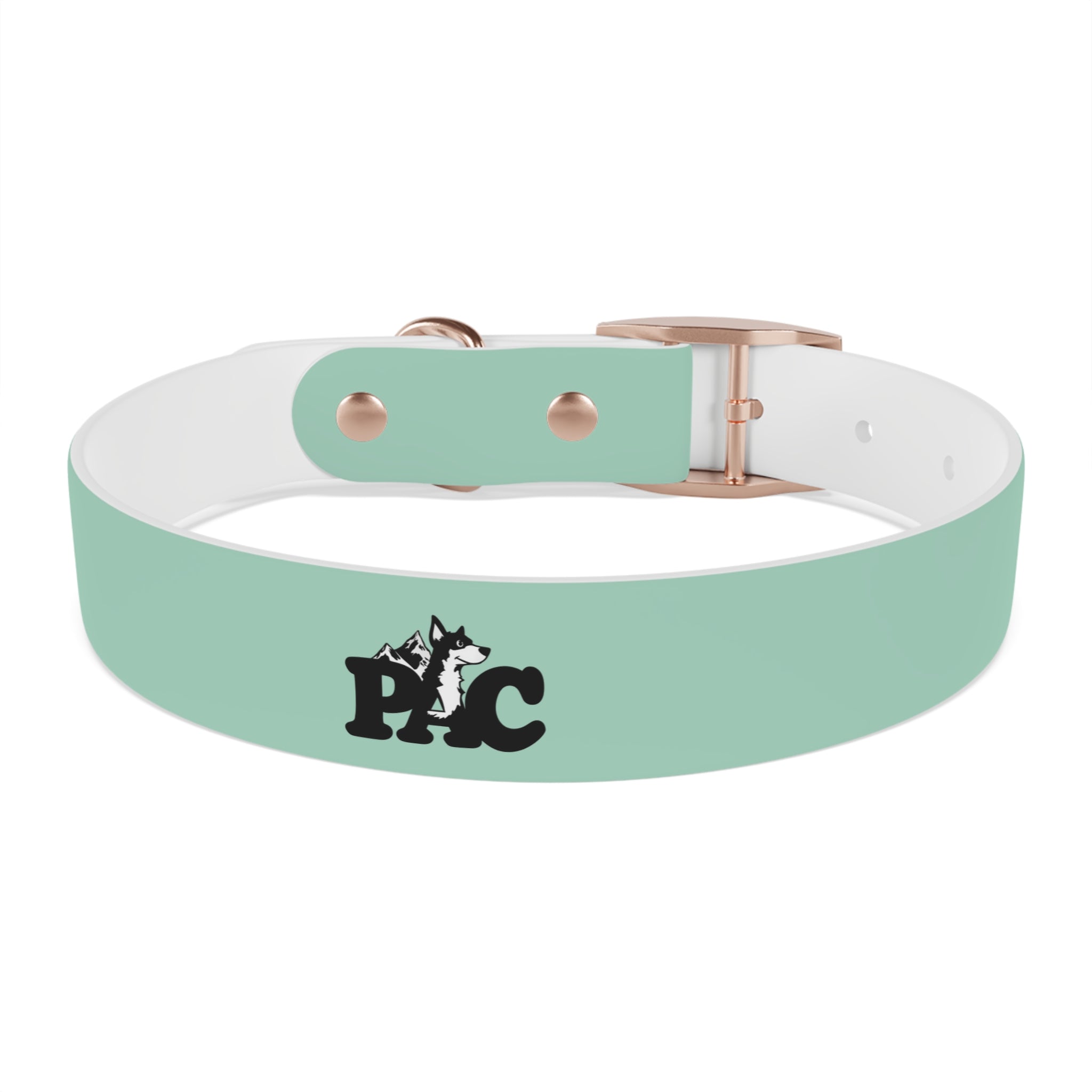 Waterproof Dog Collar | Mint