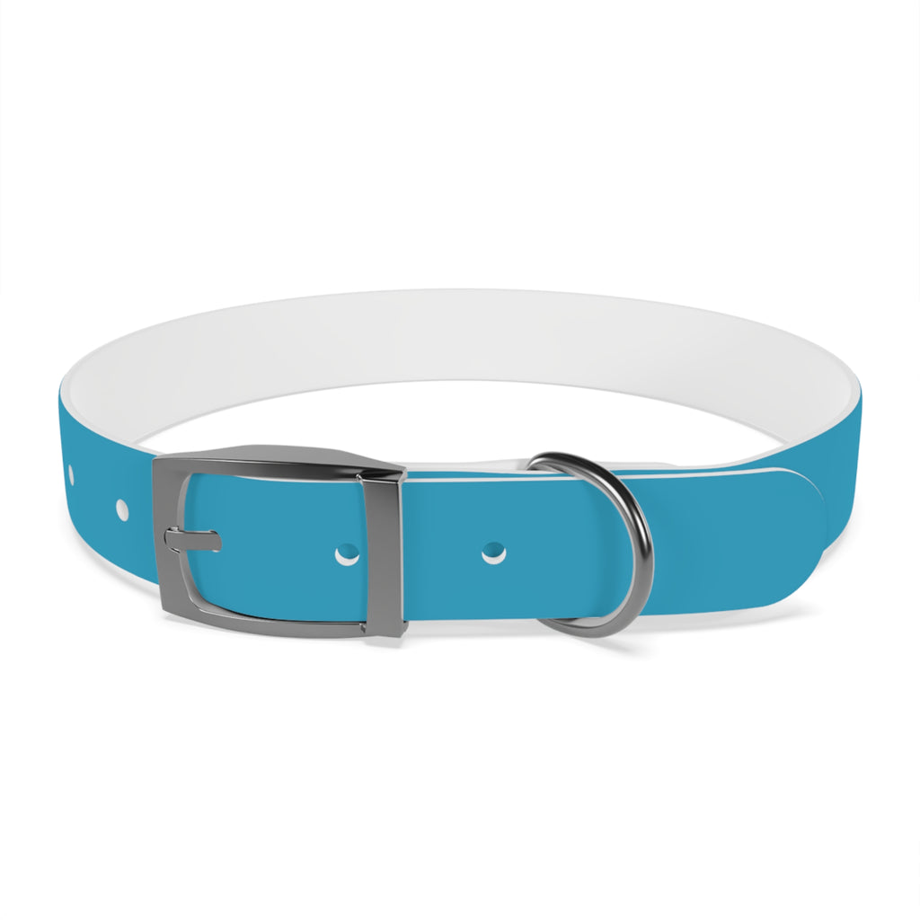Waterproof Dog Collar | Turquoise
