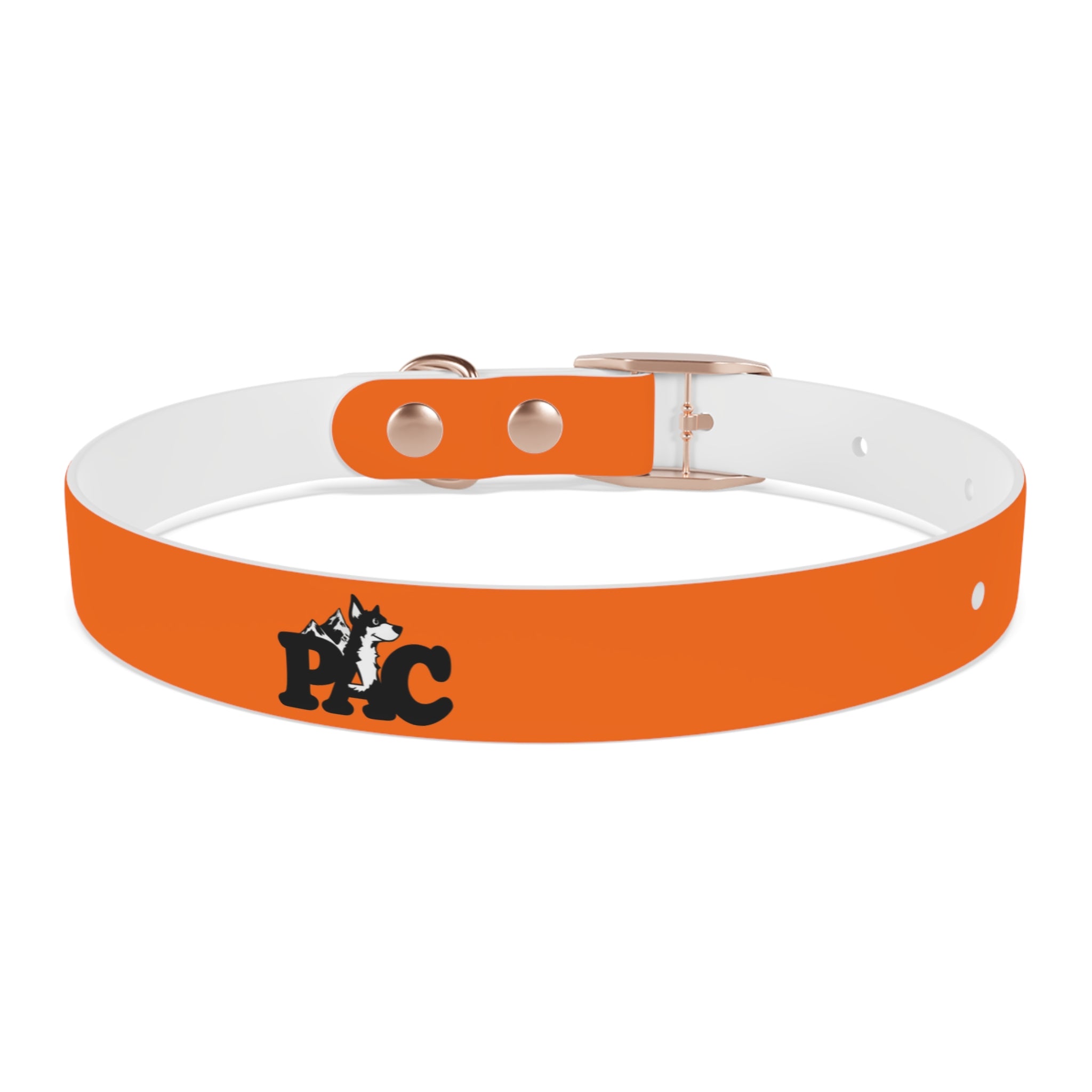 Waterproof Dog Collar | Orange