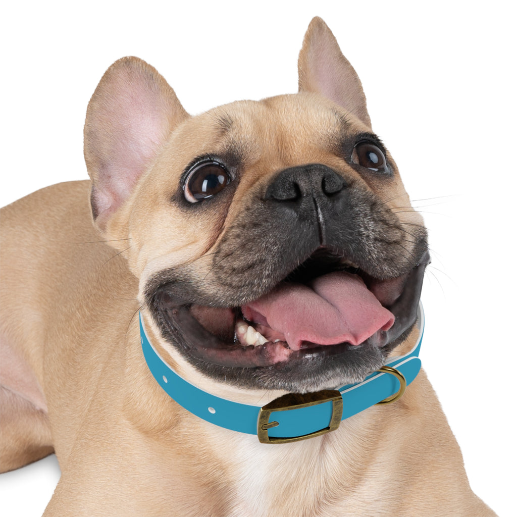 Waterproof Dog Collar | Turquoise